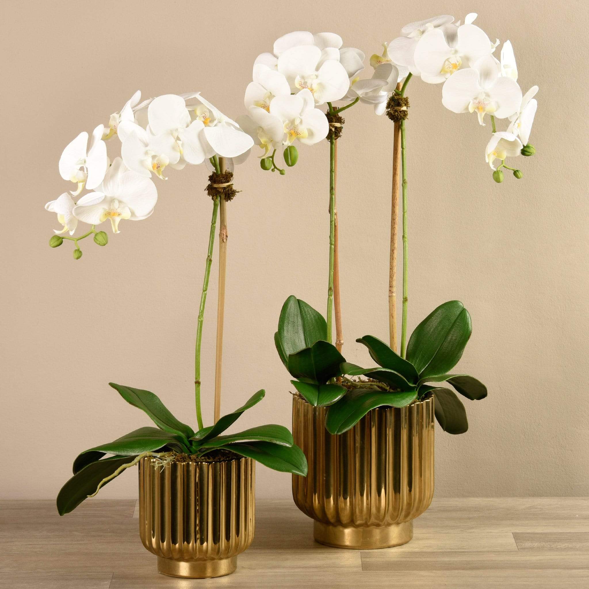 Artificial Orchid Arrangement
