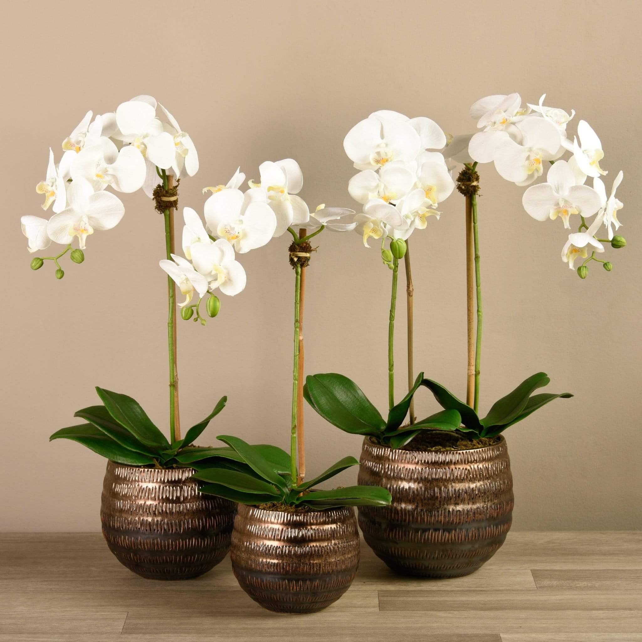 Artificial Orchid Arrangement