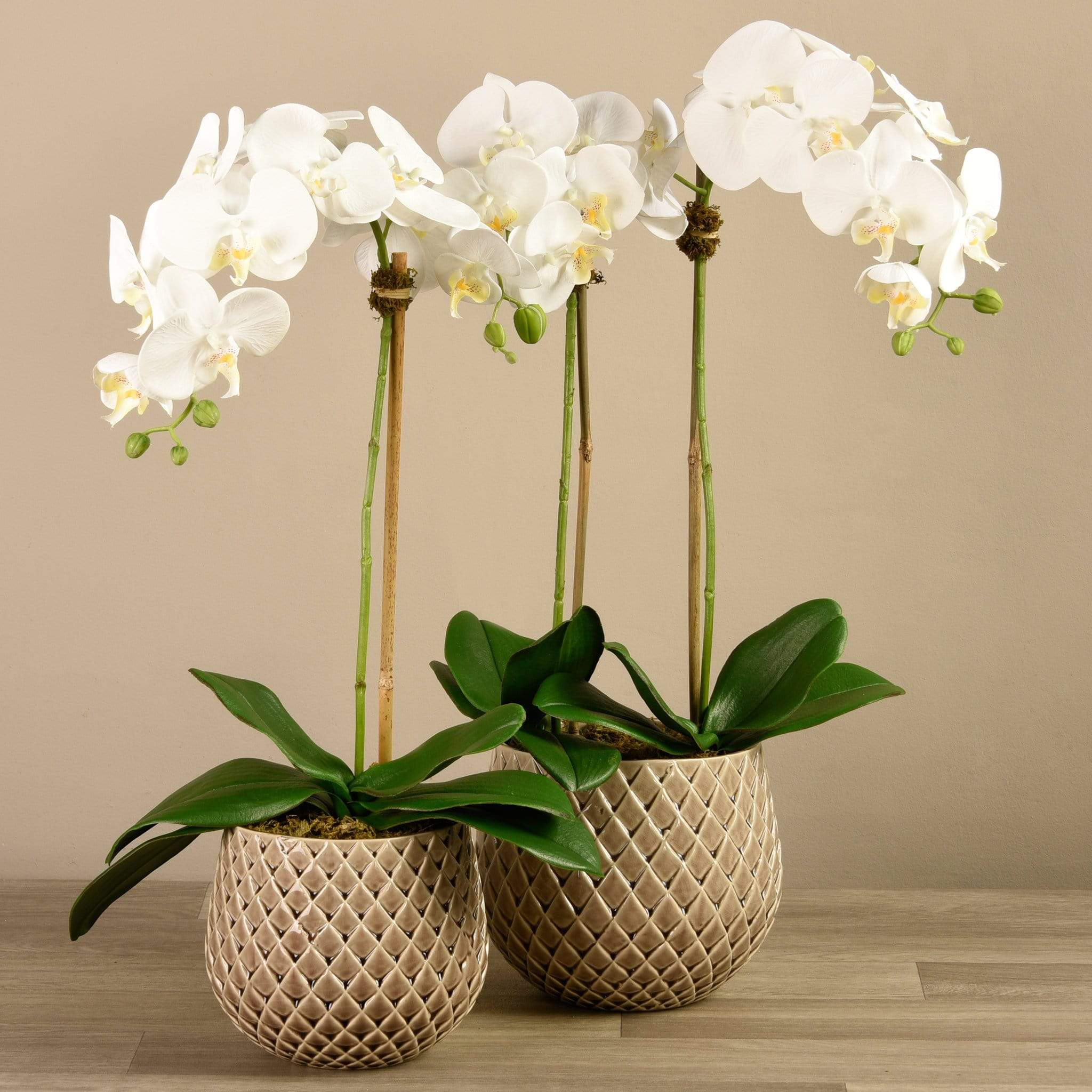 Artificial Orchid Arrangement