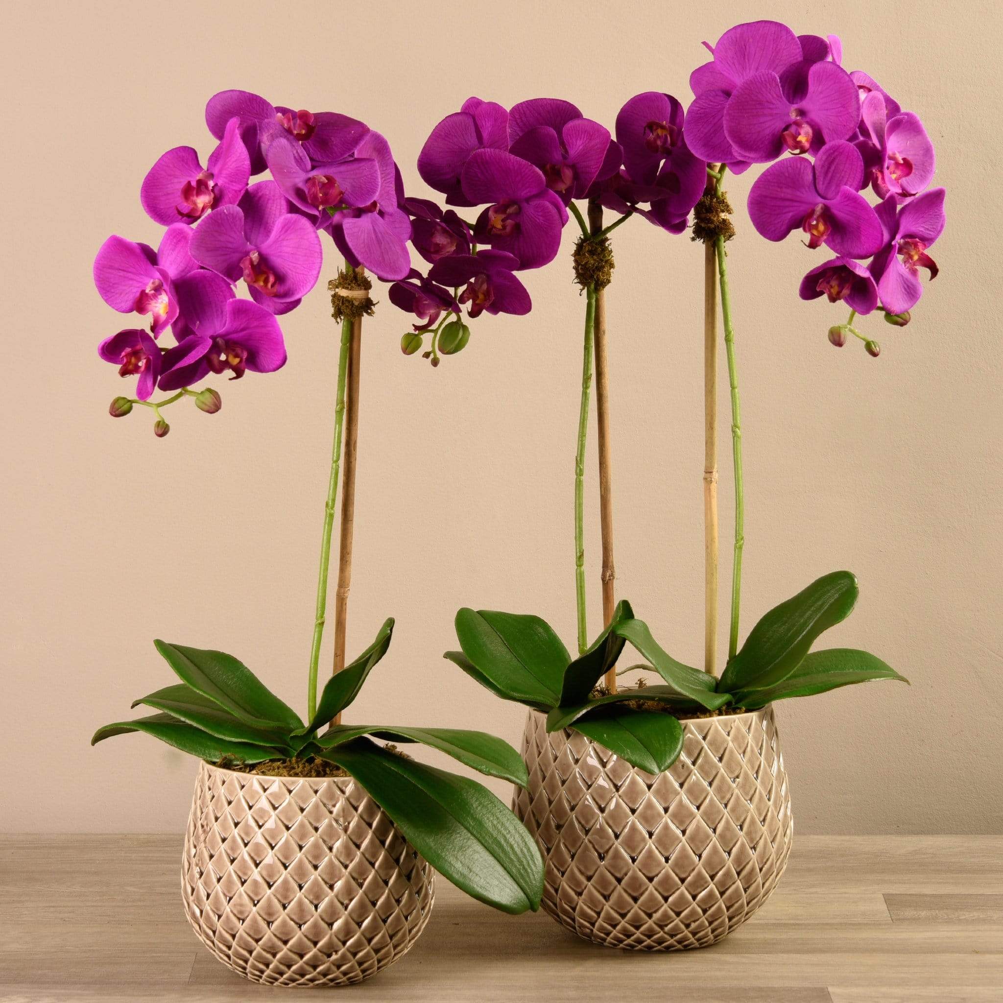 Artificial Orchid Arrangement - Image 4
