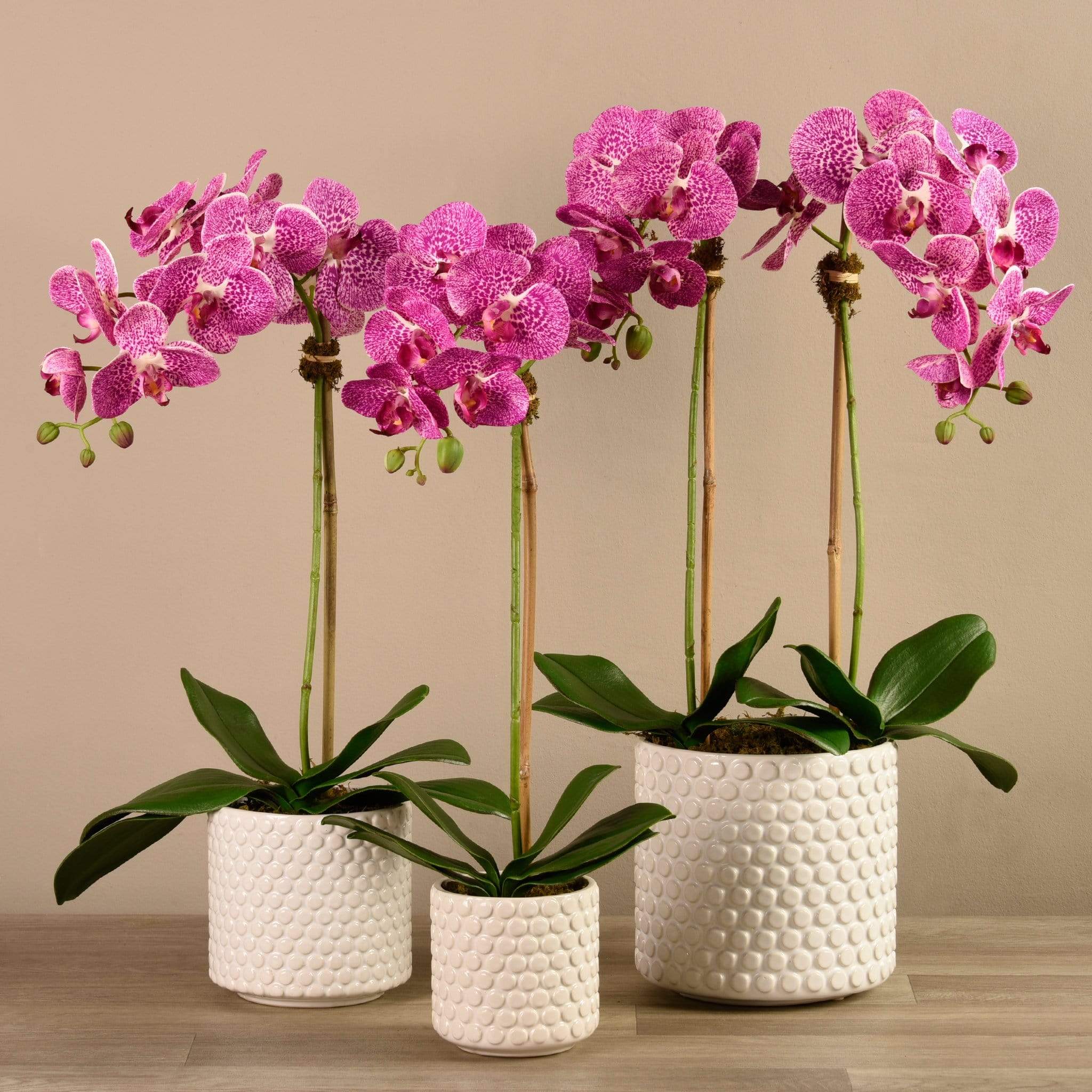 Artificial Orchid Arrangement - Image 9