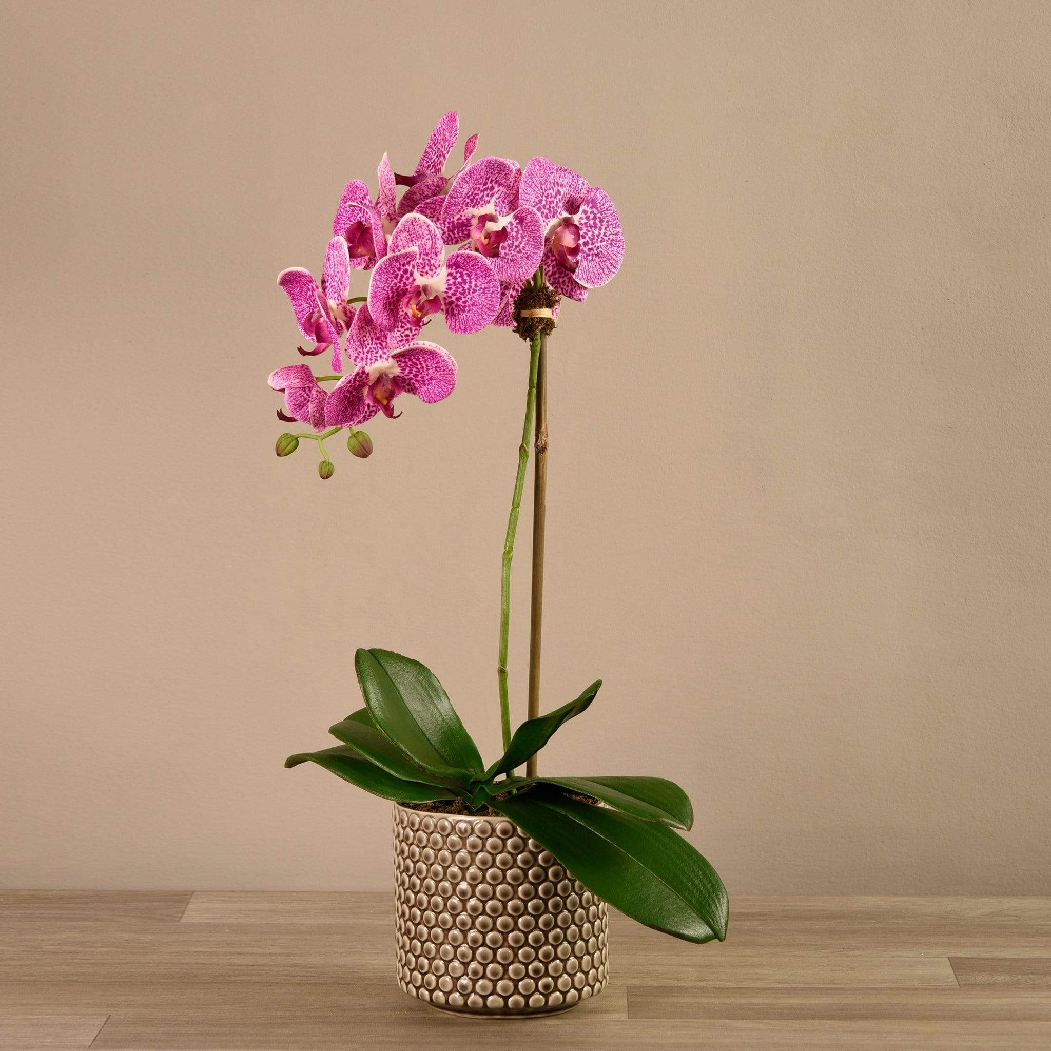 Artificial Orchid Arrangement - Image 11