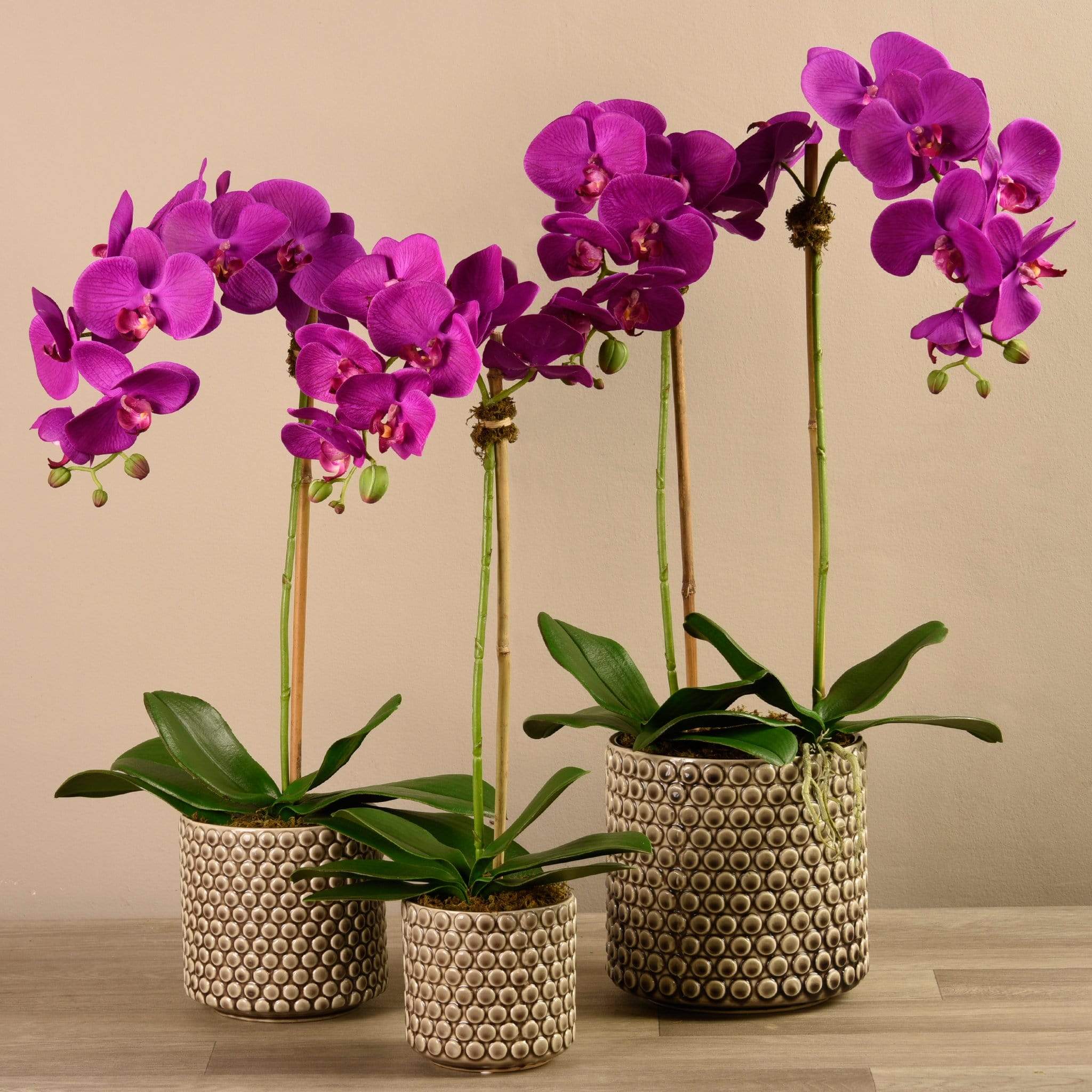Artificial Orchid Arrangement - Image 5