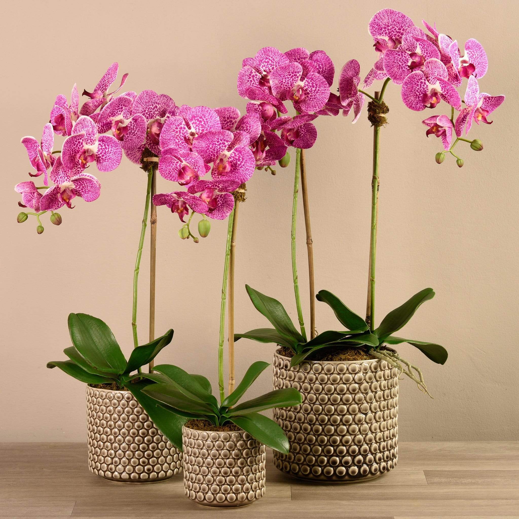 Artificial Orchid Arrangement - Image 9