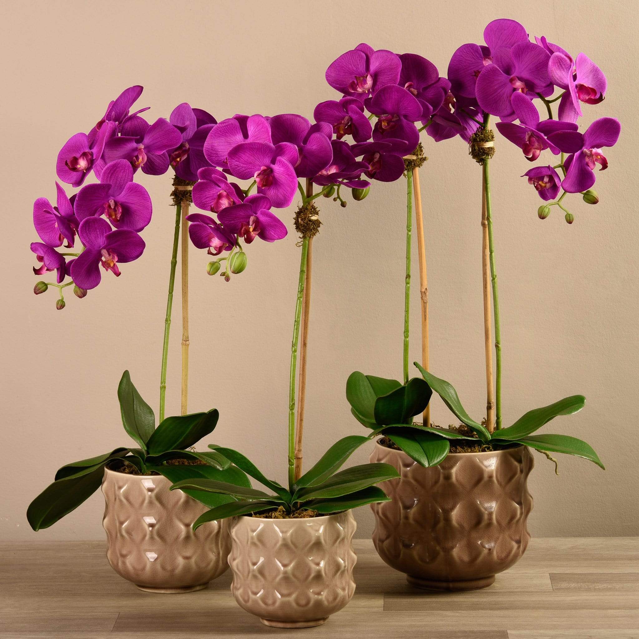 Artificial Orchid Arrangement - Image 5