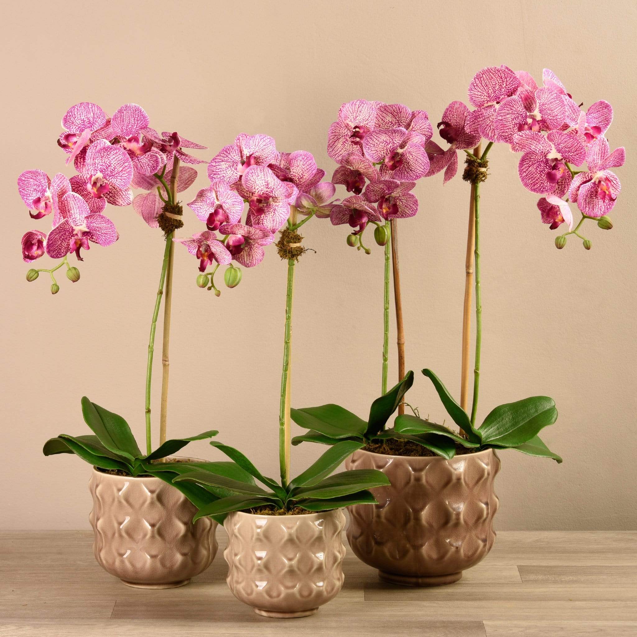Artificial Orchid Arrangement - Image 9