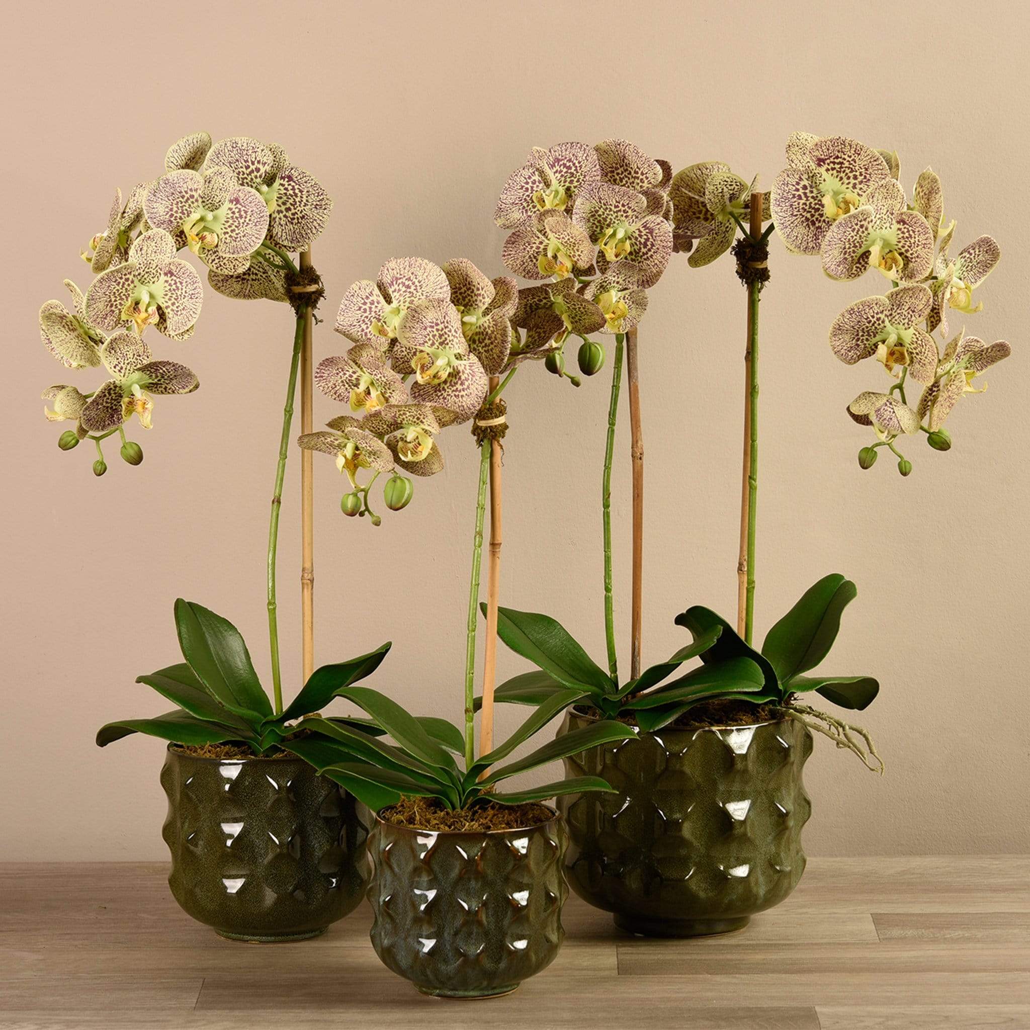 Artificial Orchid Arrangement - Image 17
