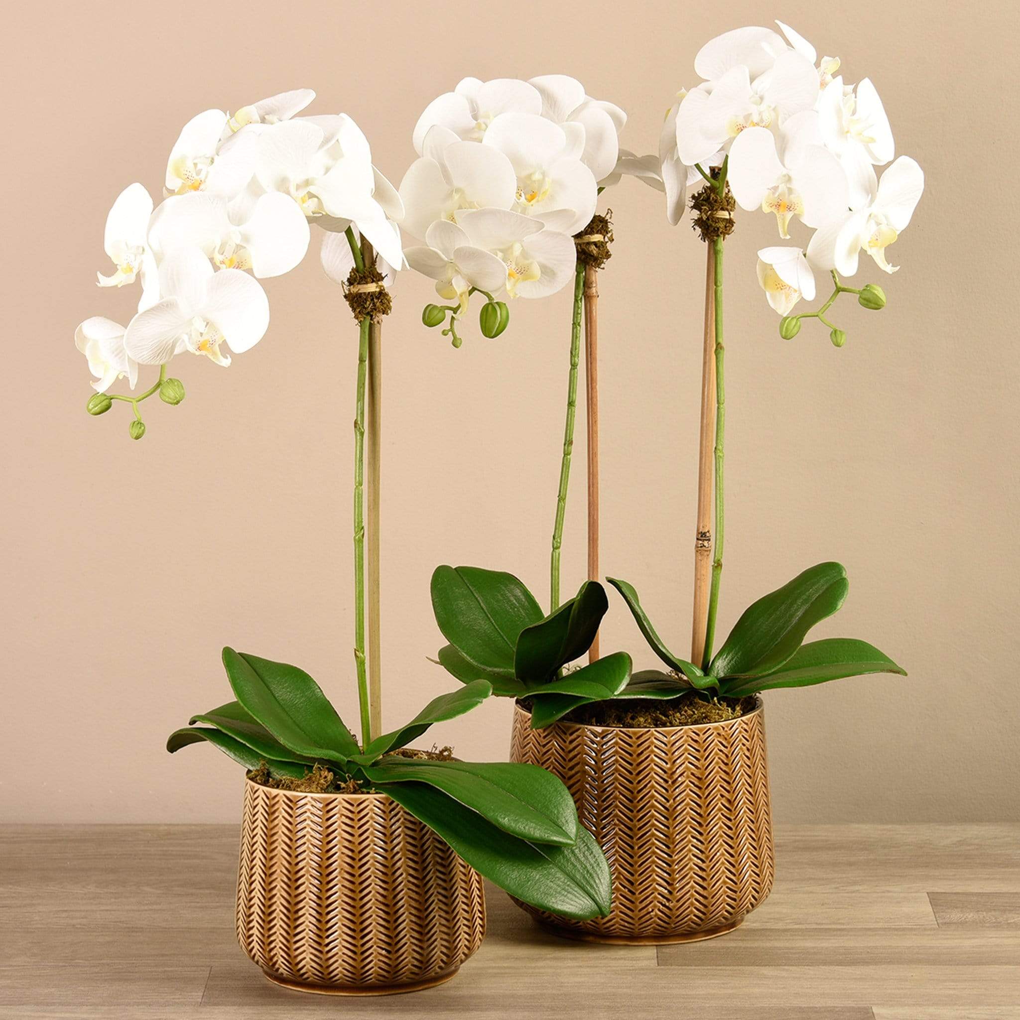 Artificial Orchid Arrangement