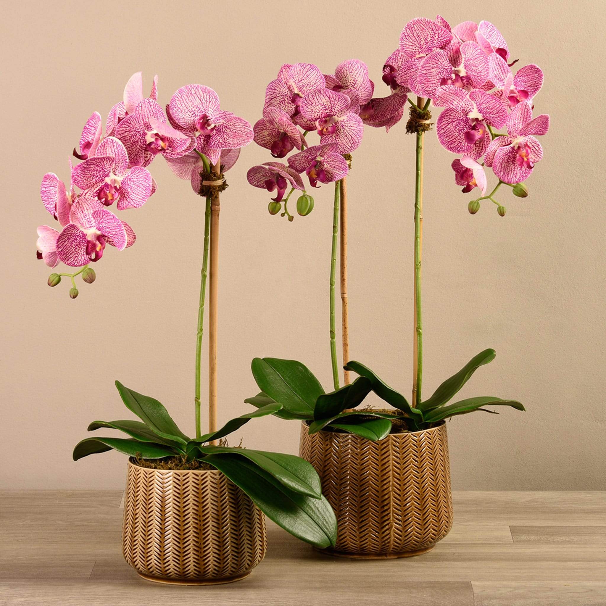 Artificial Orchid Arrangement - Image 10