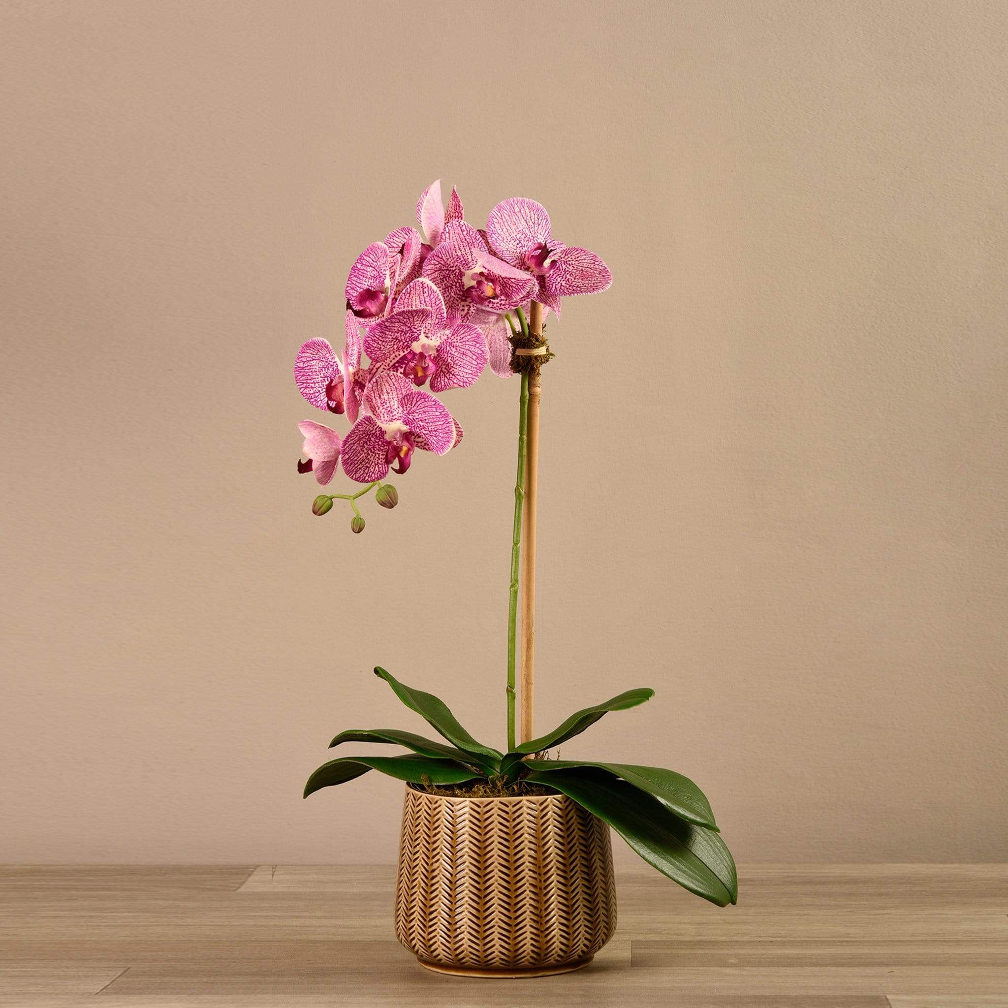 Artificial Orchid Arrangement - Image 11