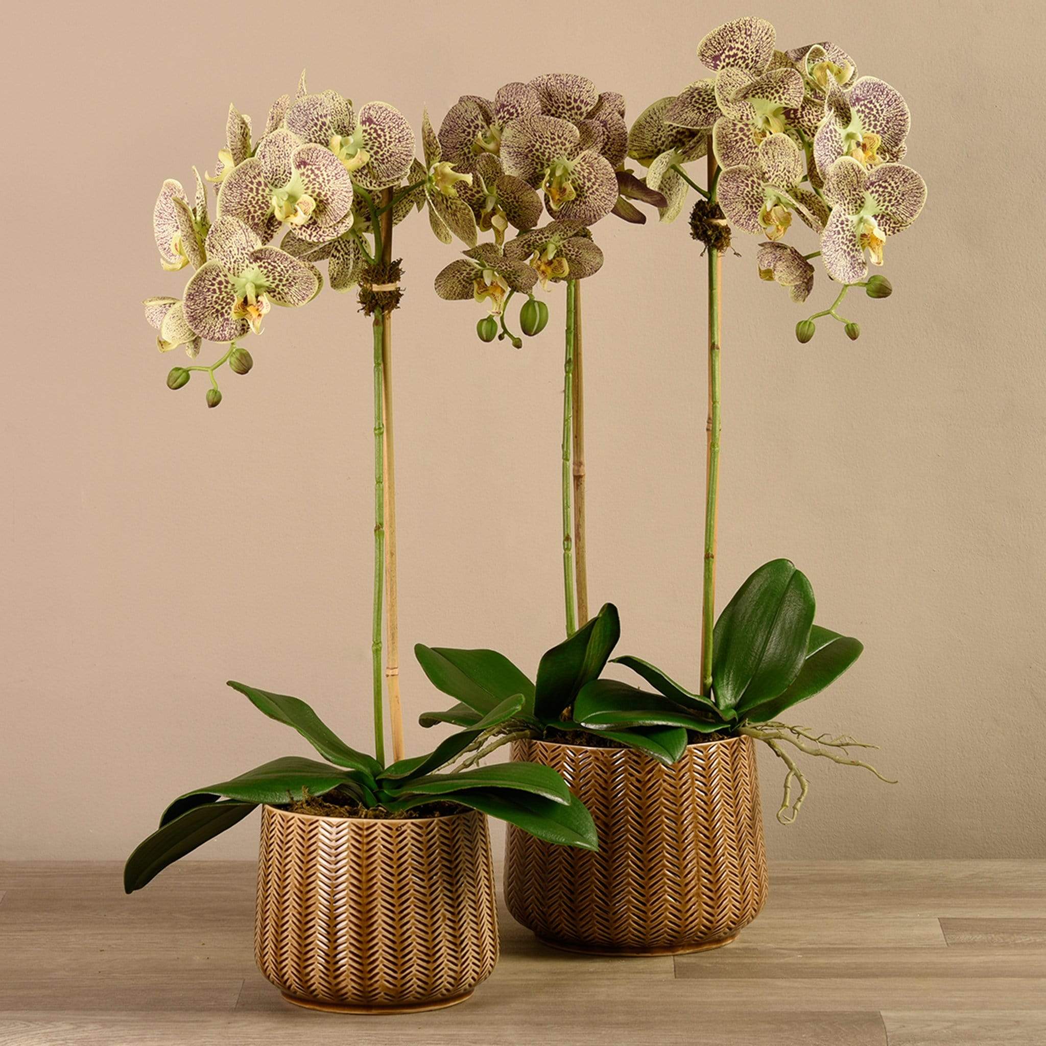 Artificial Orchid Arrangement - Image 13