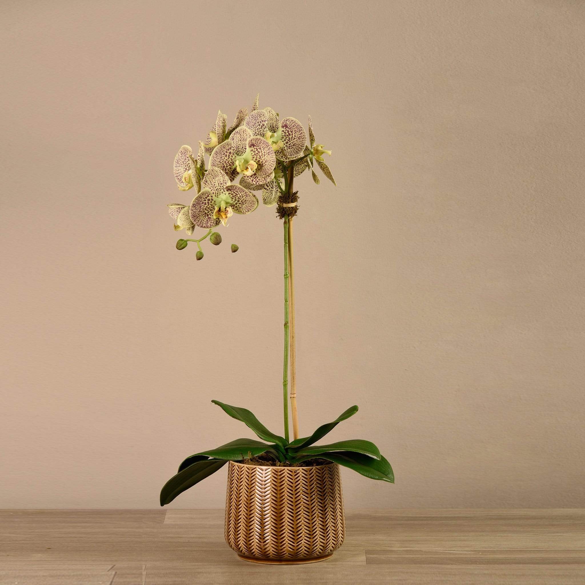Artificial Orchid Arrangement - Image 14