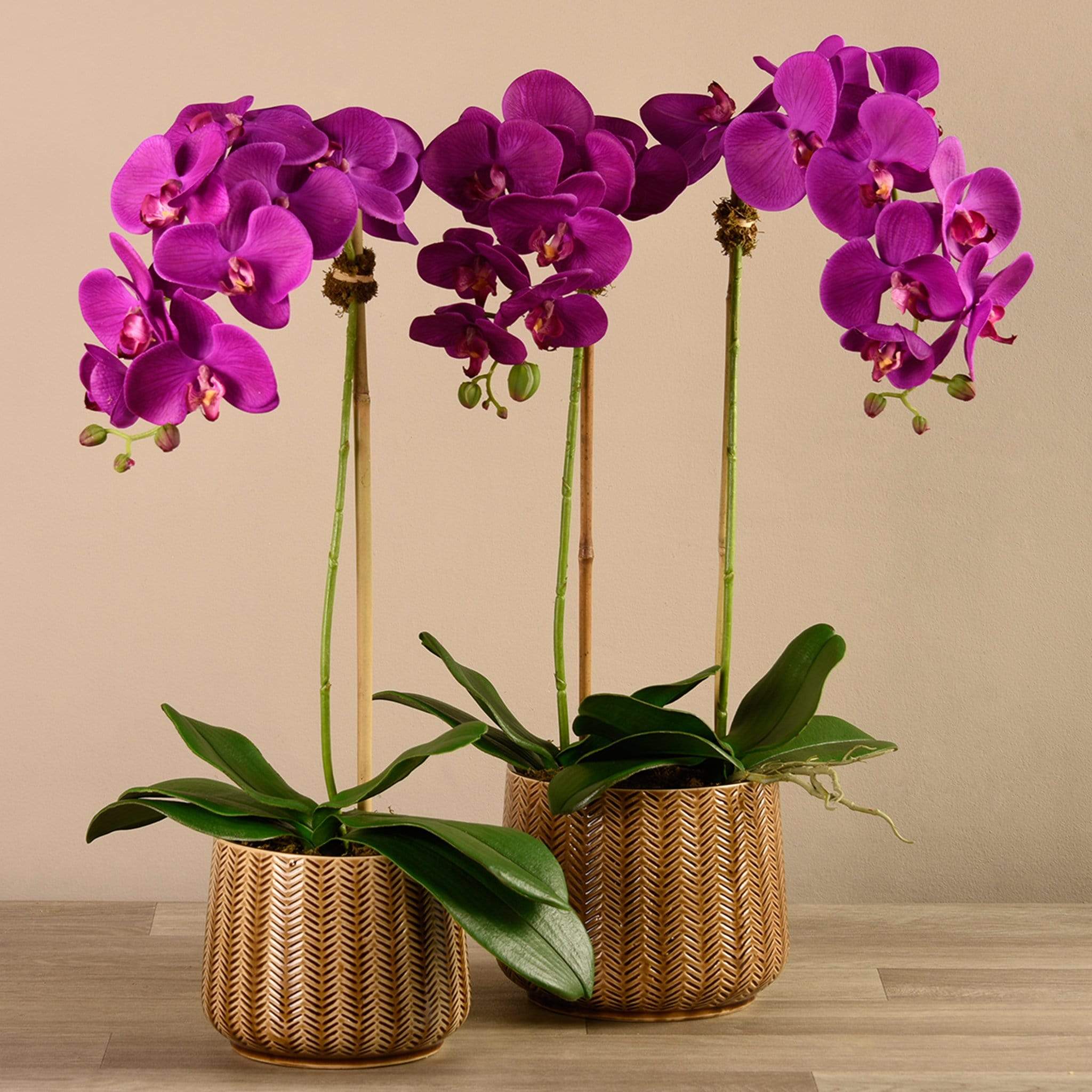 Artificial Orchid Arrangement - Image 4
