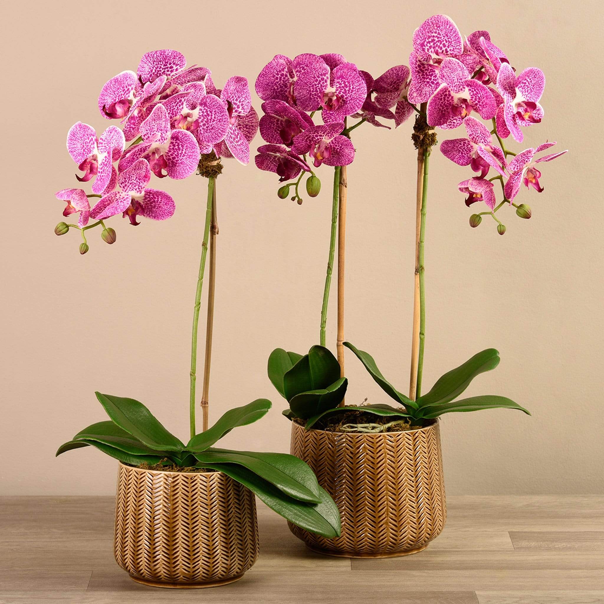 Artificial Orchid Arrangement - Image 7
