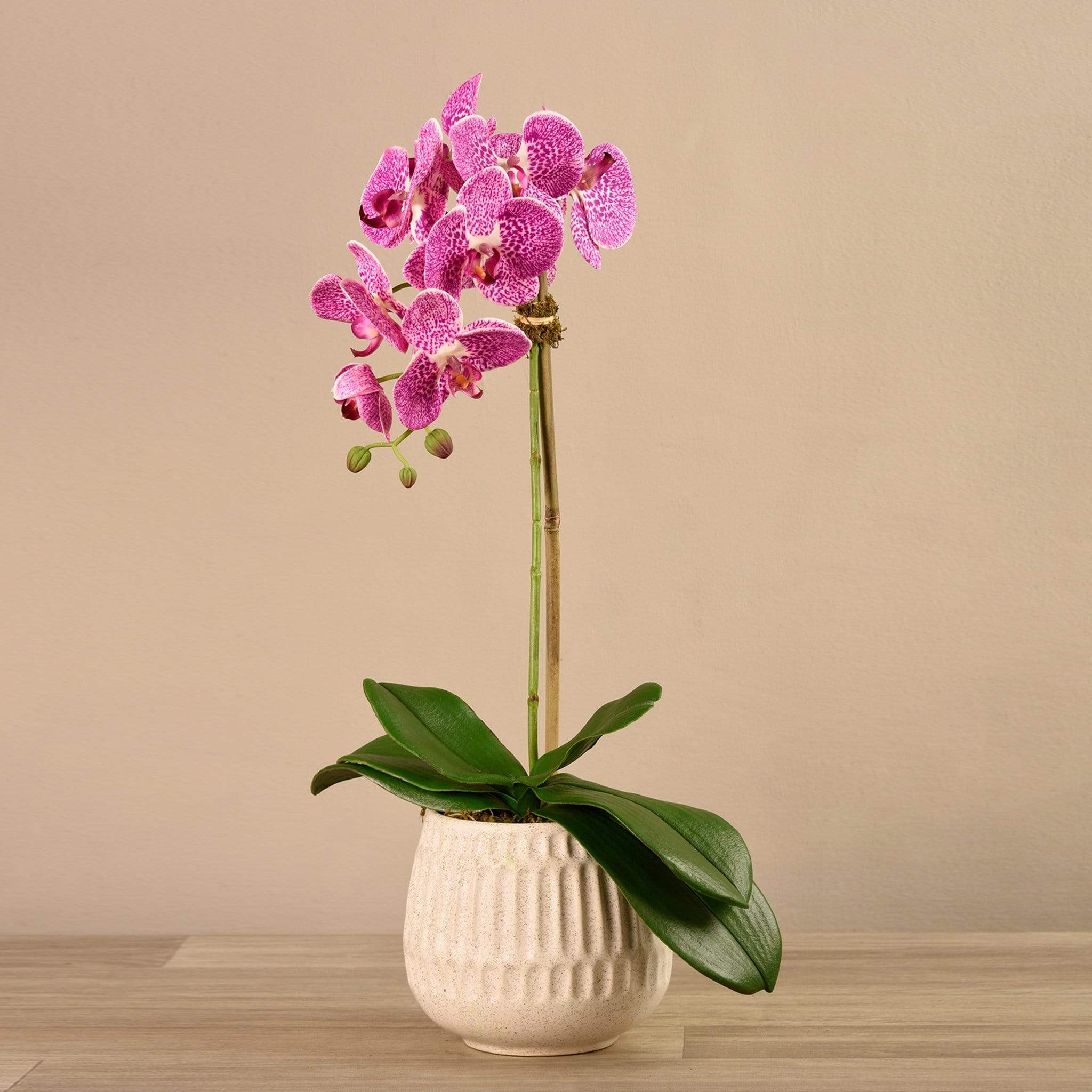 Artificial Orchid Arrangement - Image 2