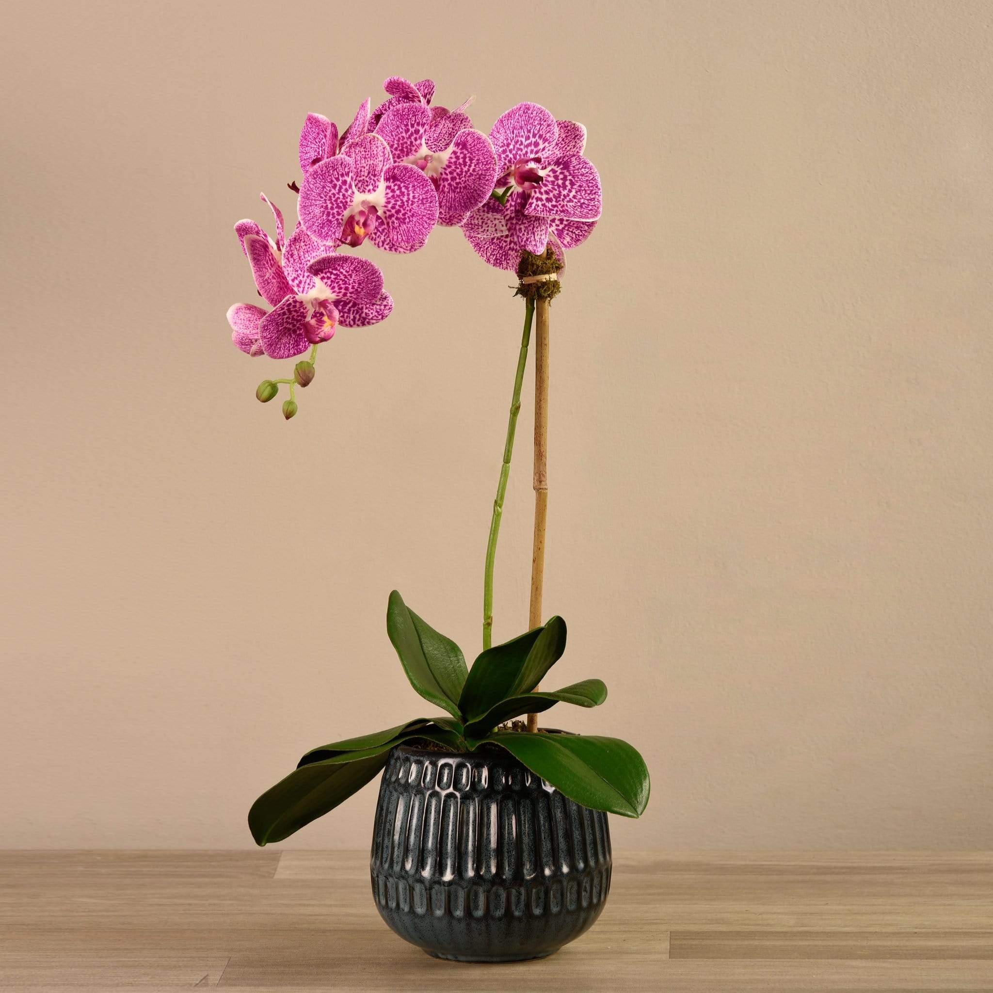 Artificial Orchid Arrangement - Image 11