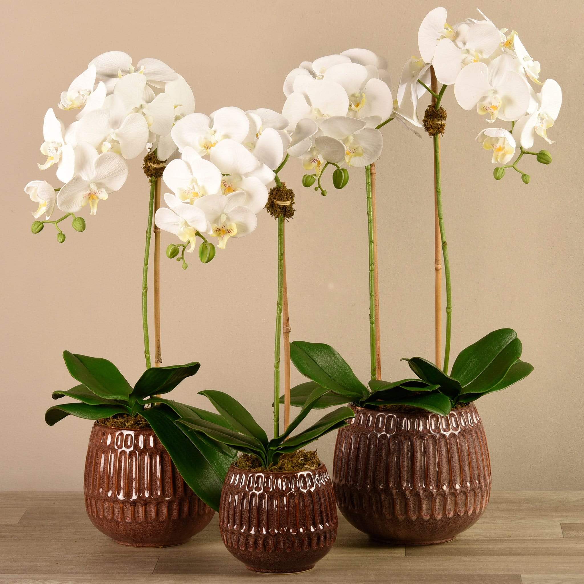 Artificial Orchid Arrangement