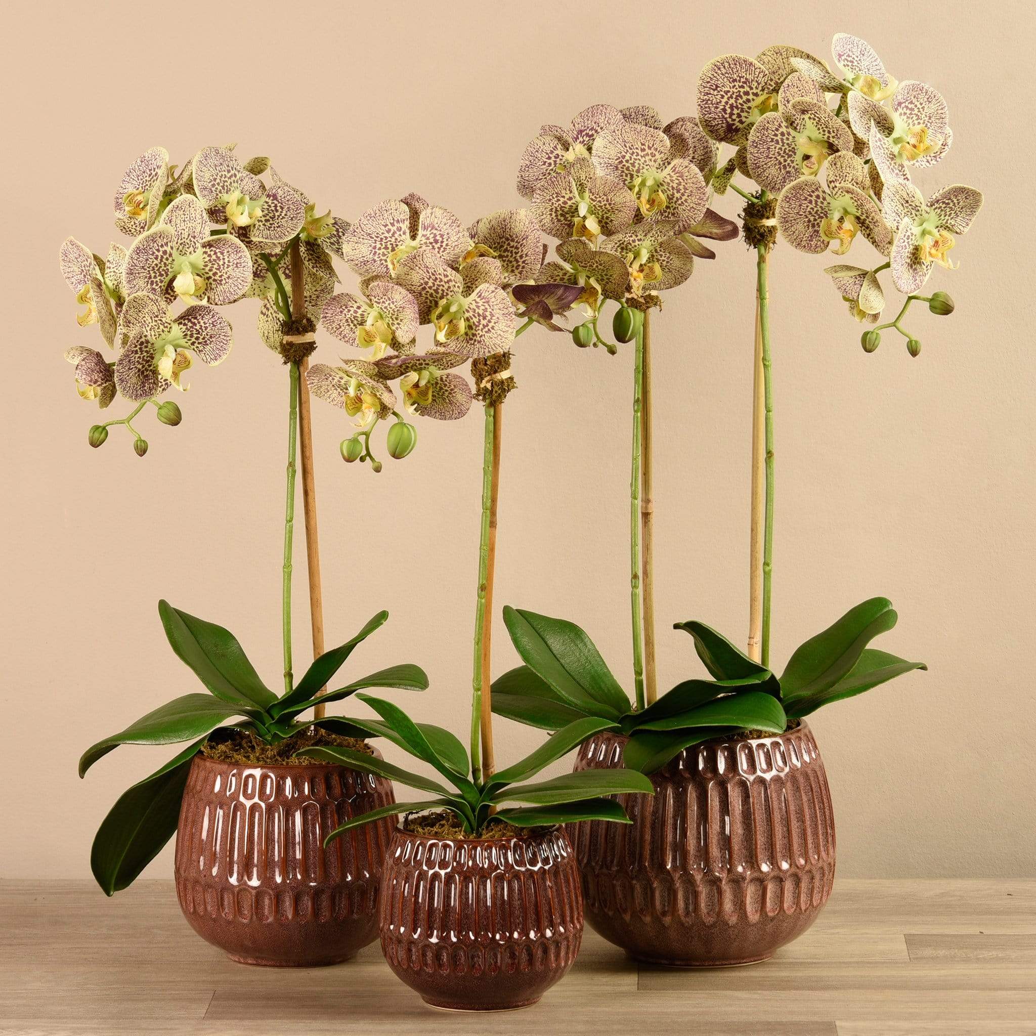 Artificial Orchid Arrangement - Image 17