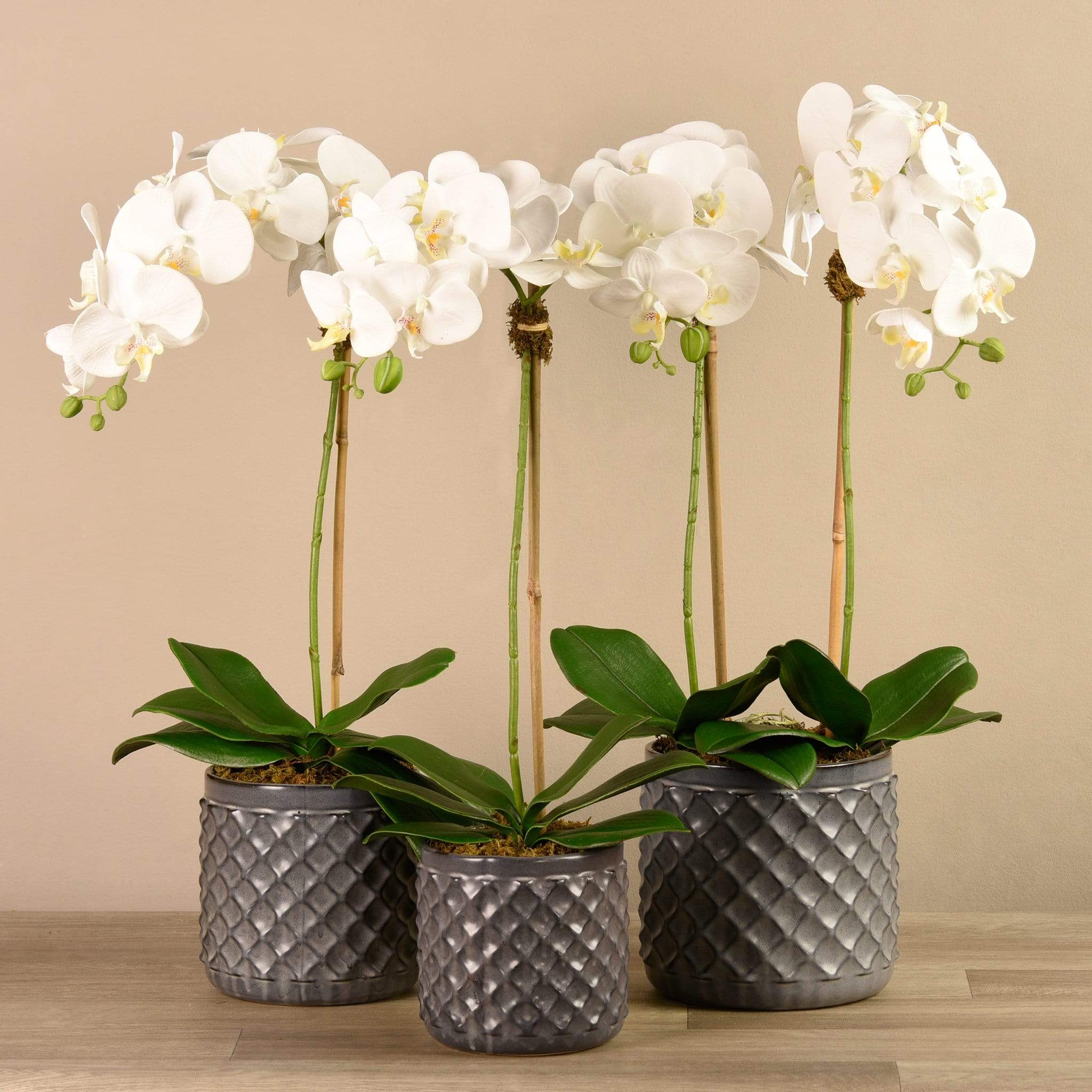 Artificial Orchid Arrangement