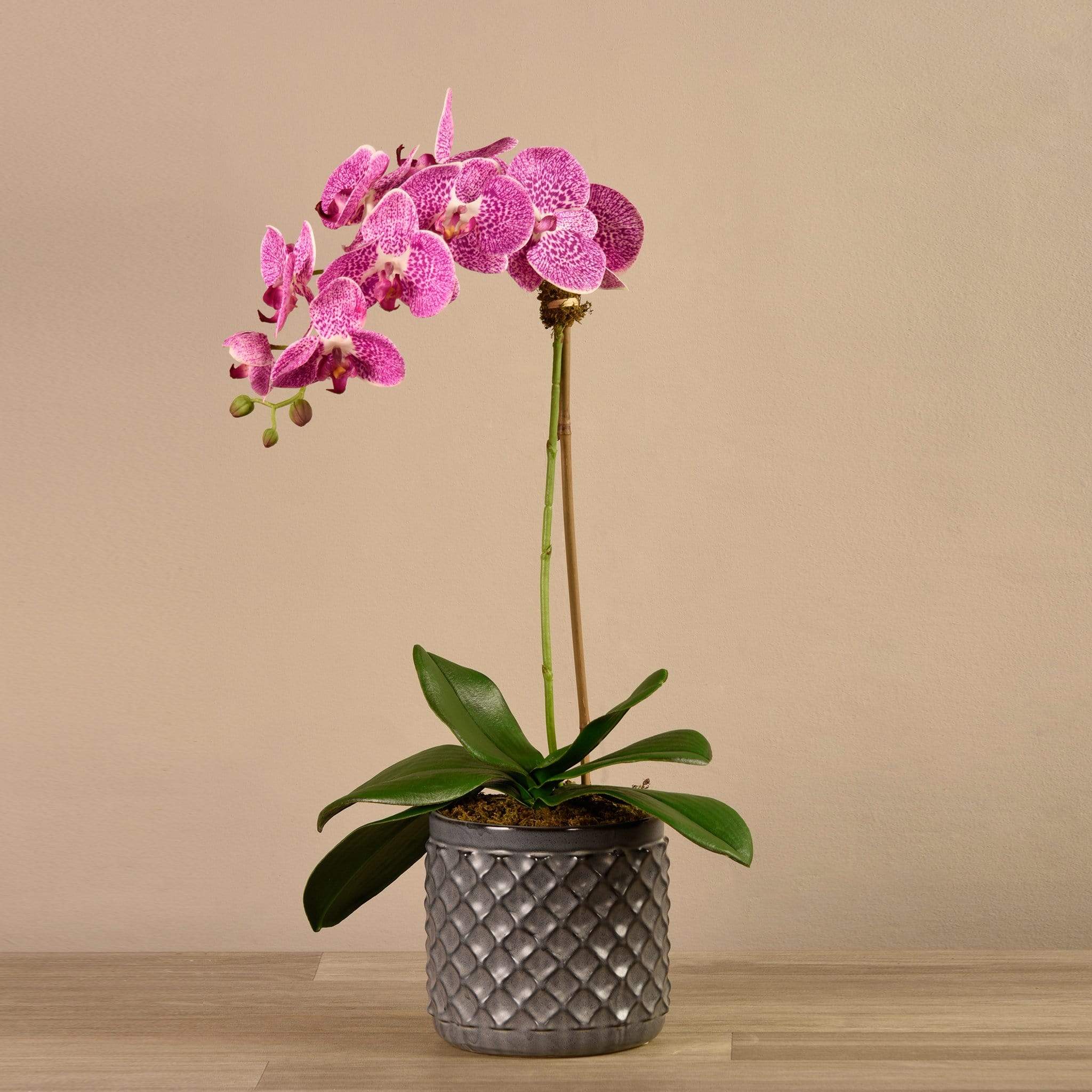 Artificial Orchid Arrangement - Image 11