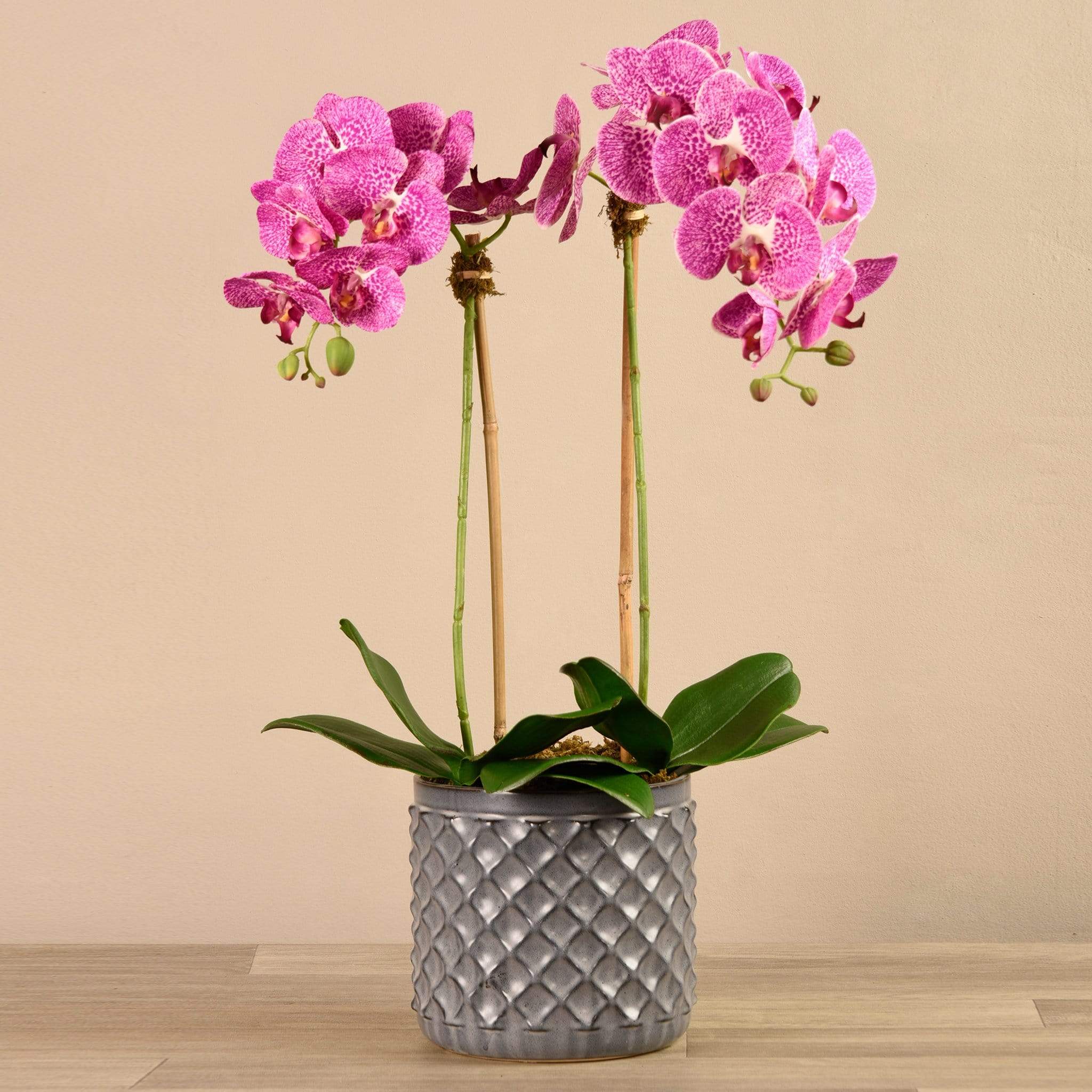 Artificial Orchid Arrangement - Image 12
