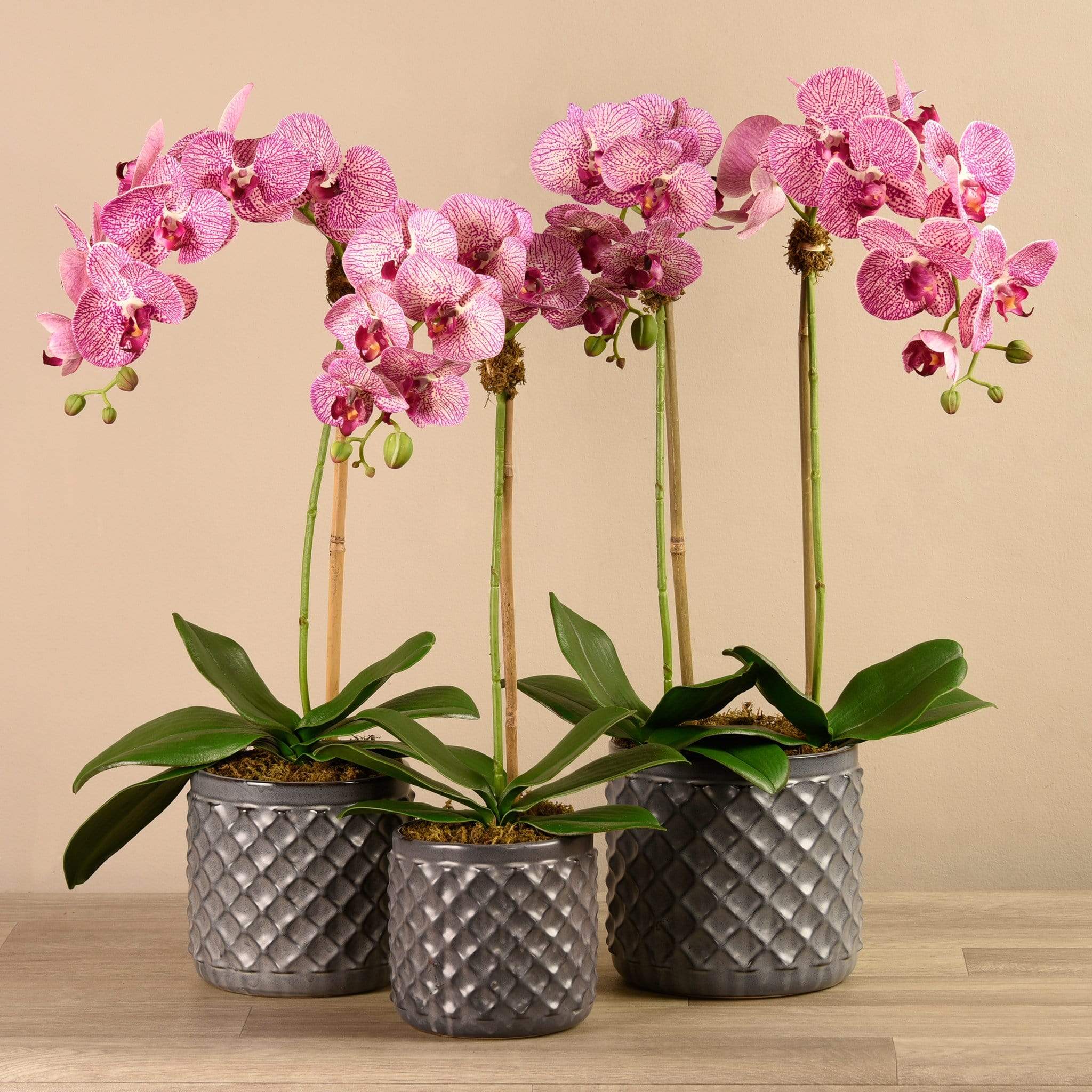 Artificial Orchid Arrangement - Image 13