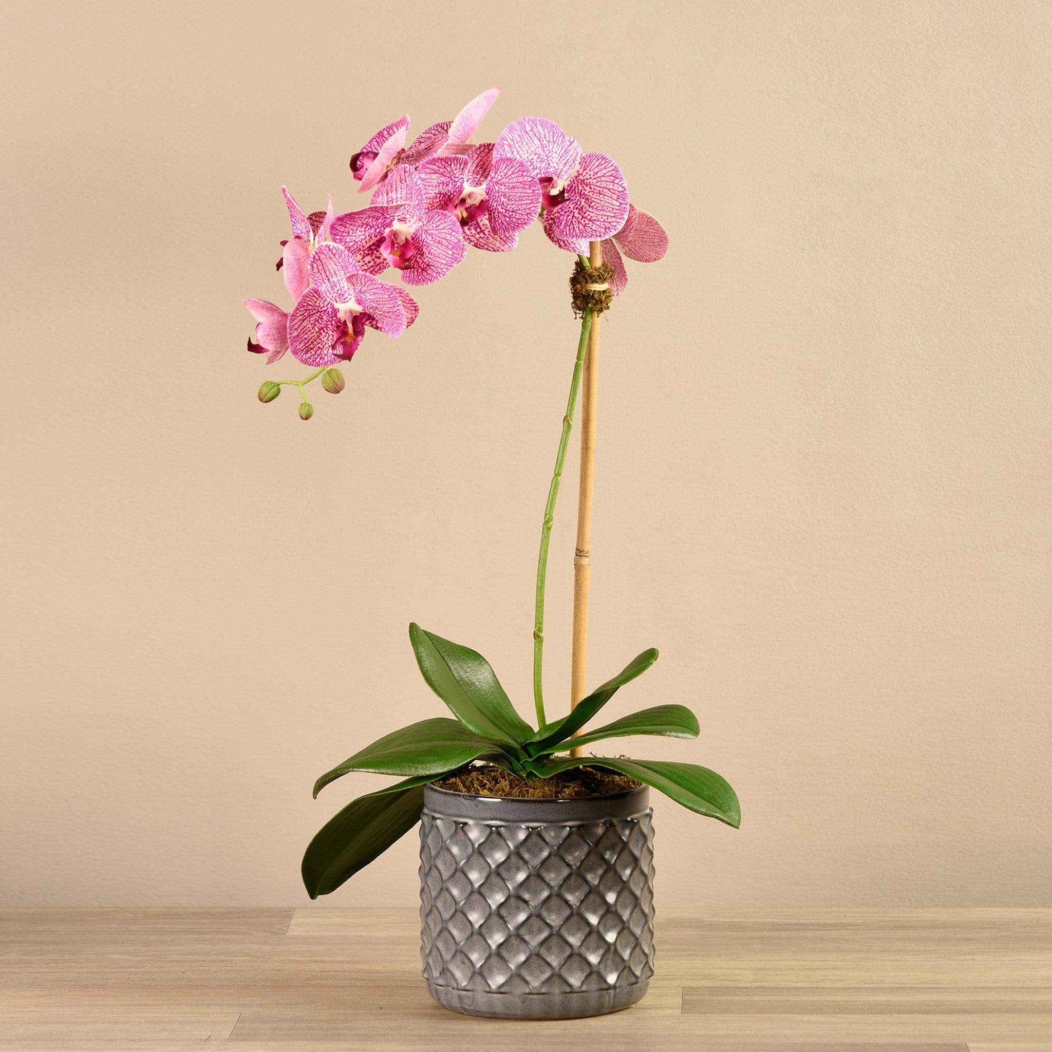 Artificial Orchid Arrangement - Image 15