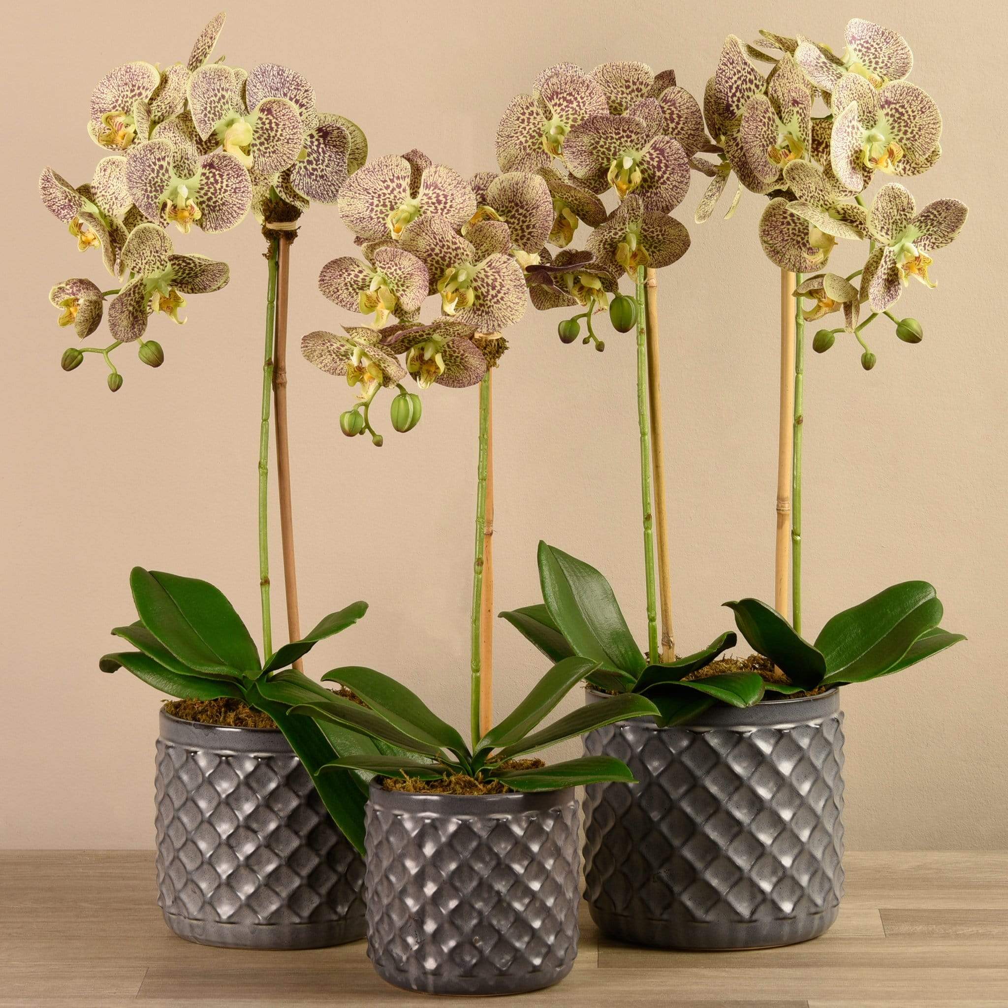 Artificial Orchid Arrangement - Image 17