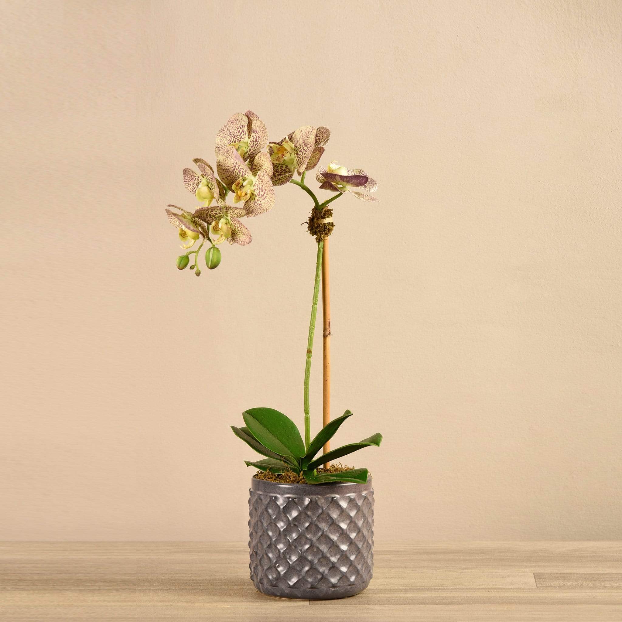 Artificial Orchid Arrangement - Image 18