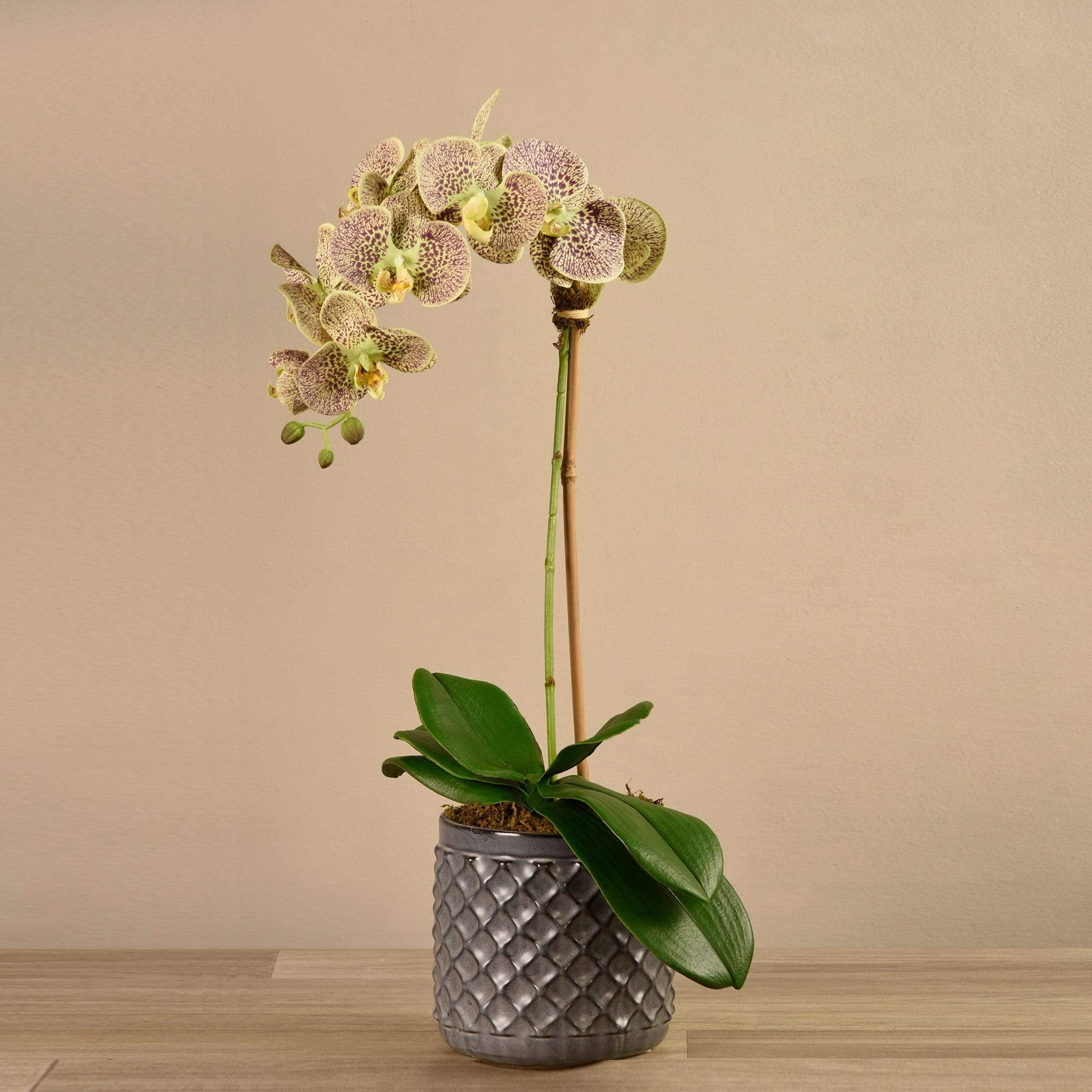 Artificial Orchid Arrangement - Image 19