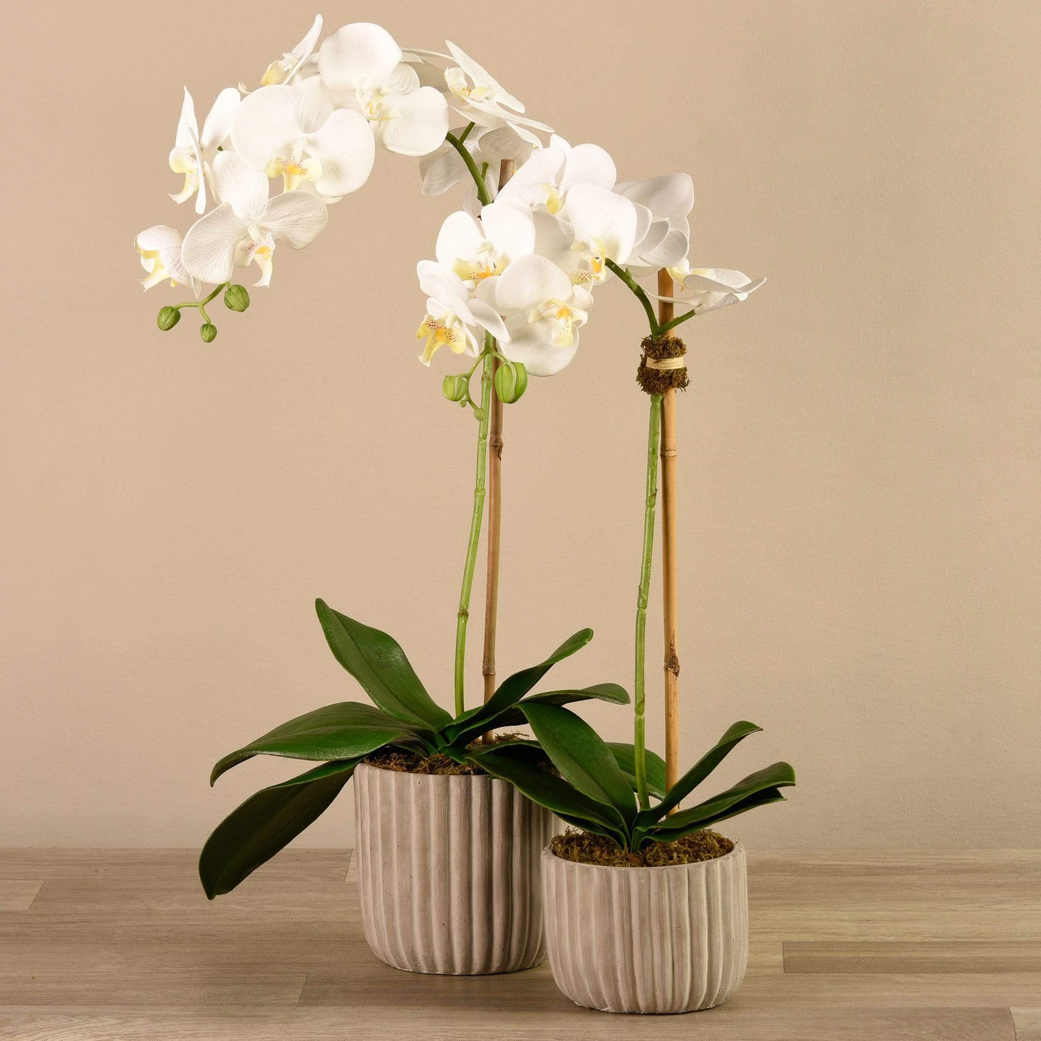 Artificial Orchid Arrangement