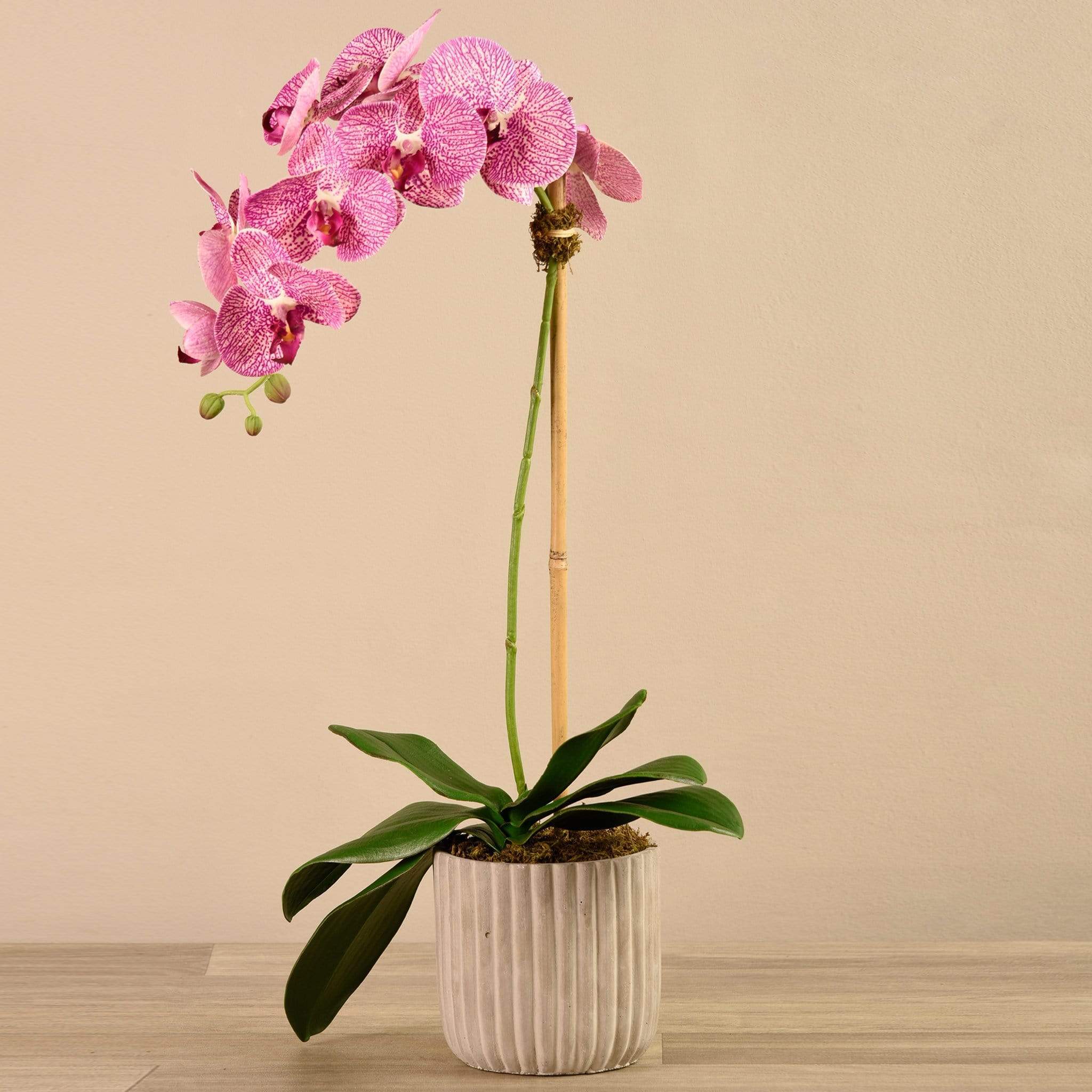 Artificial Orchid Arrangement - Image 12