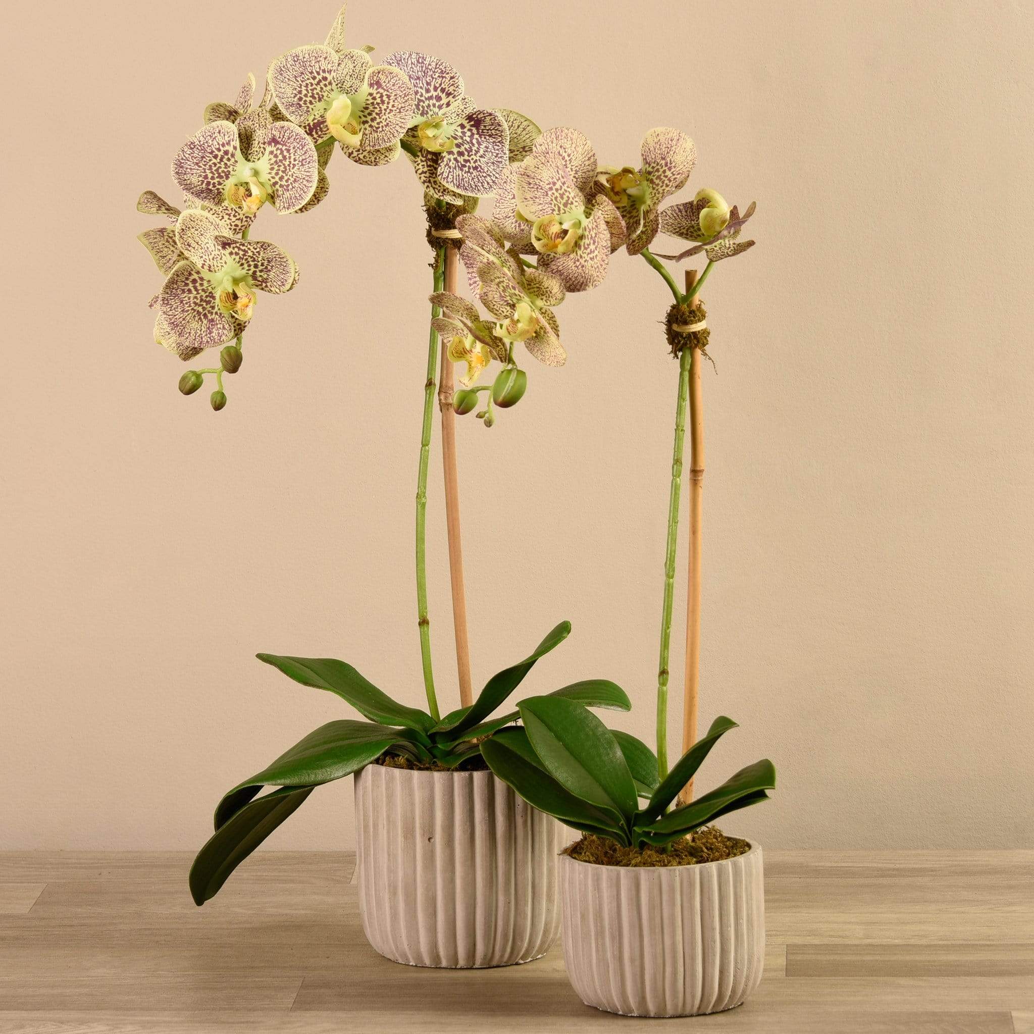 Artificial Orchid Arrangement - Image 13