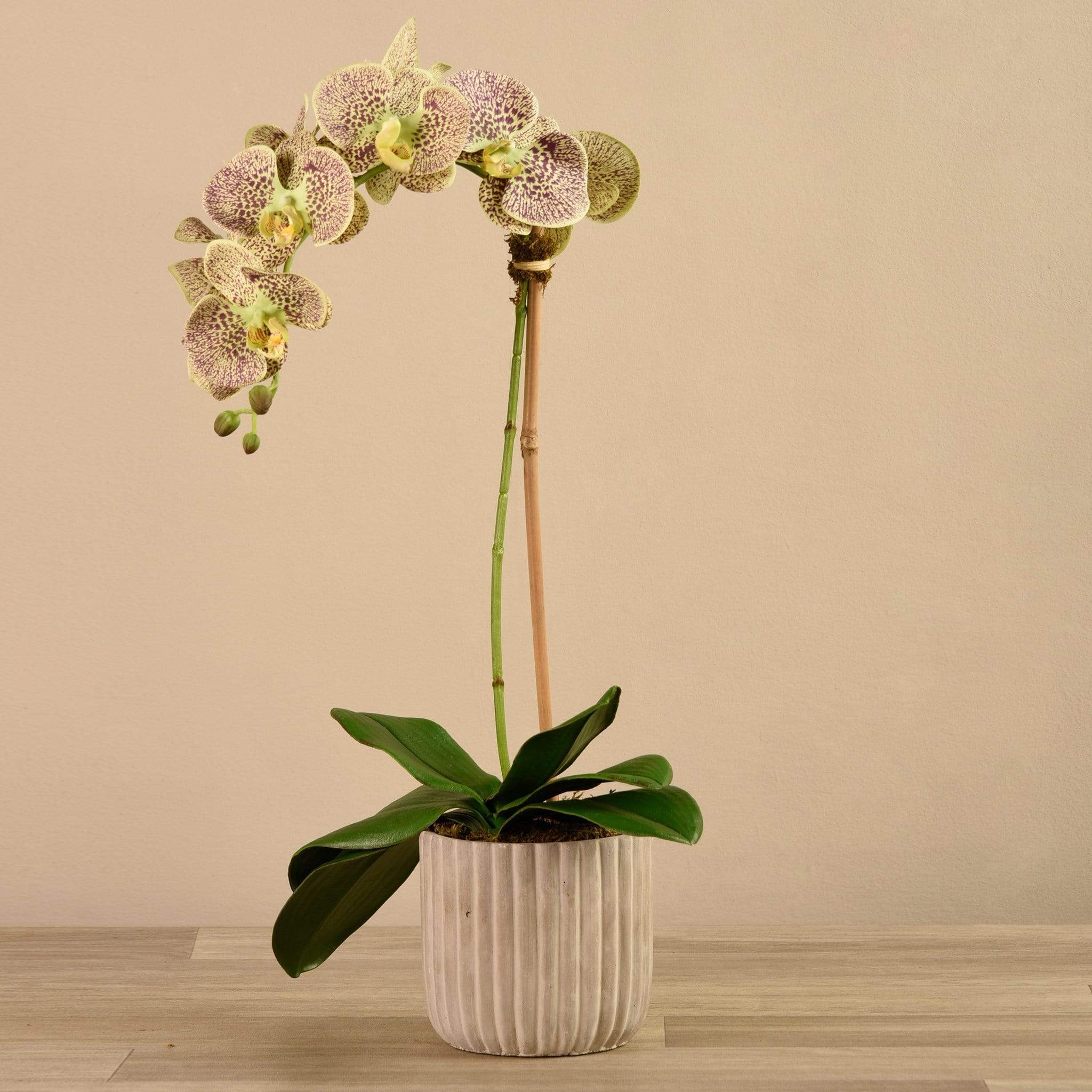 Artificial Orchid Arrangement - Image 15