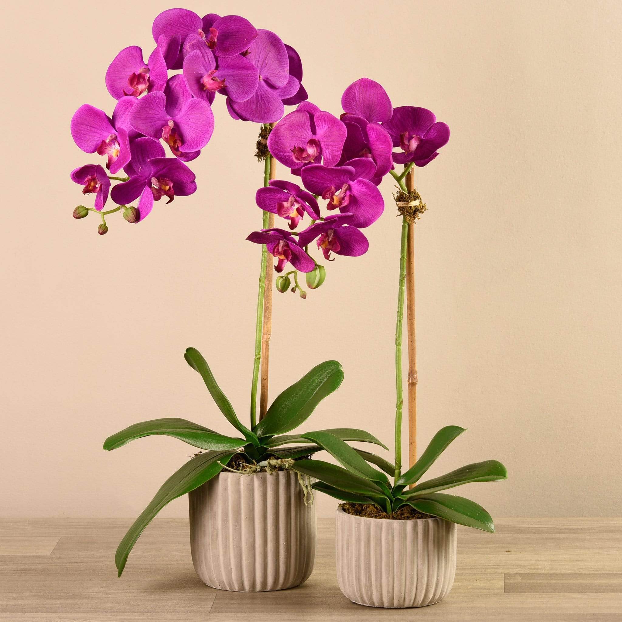 Artificial Orchid Arrangement - Image 4