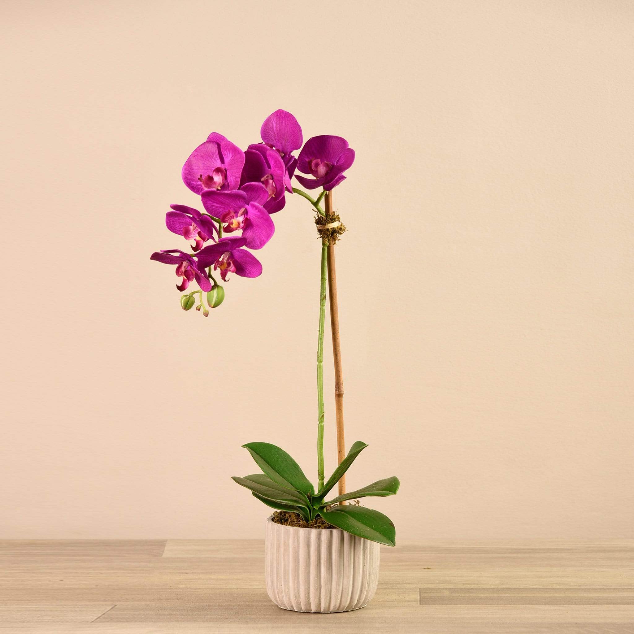 Artificial Orchid Arrangement - Image 5