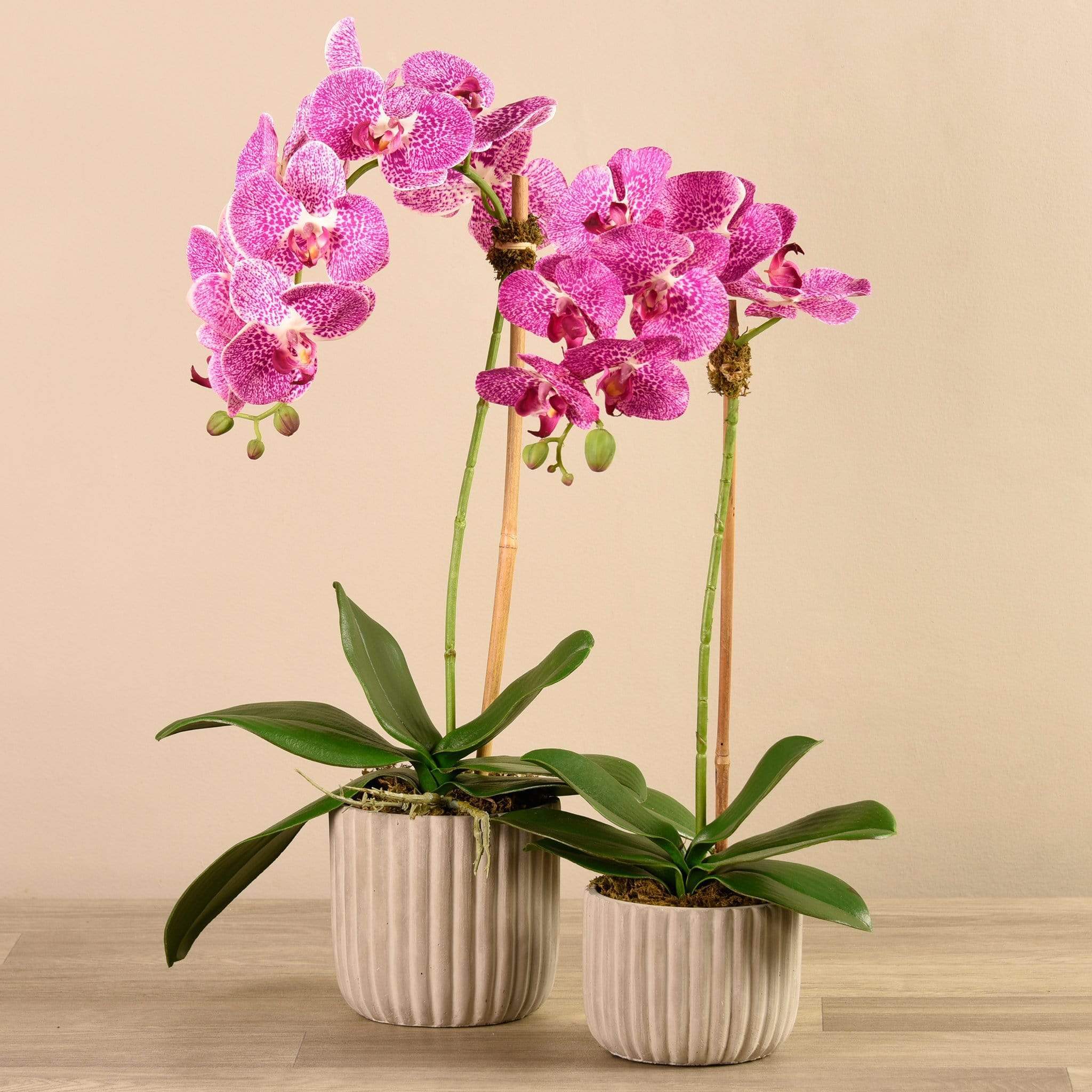 Artificial Orchid Arrangement - Image 7