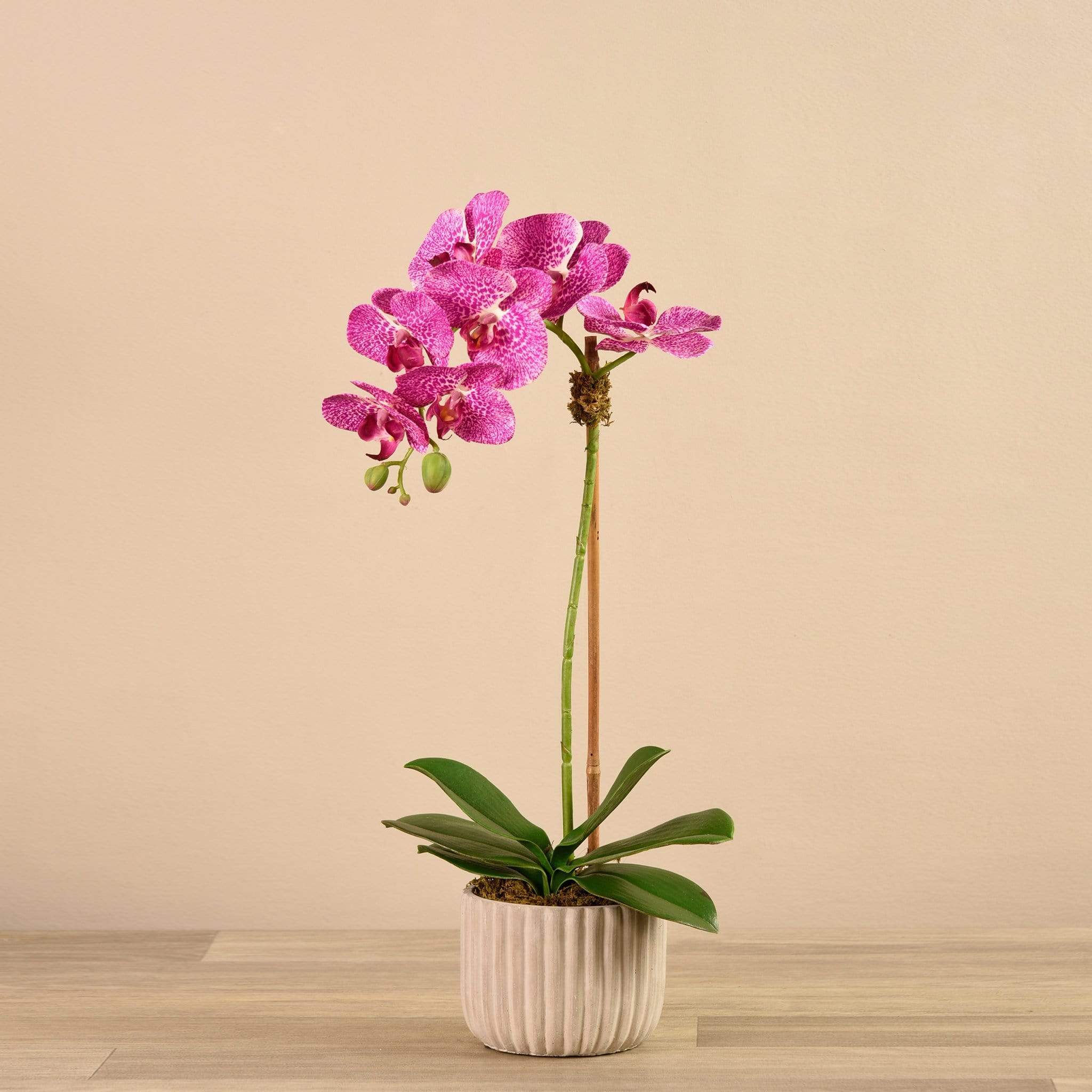 Artificial Orchid Arrangement - Image 8