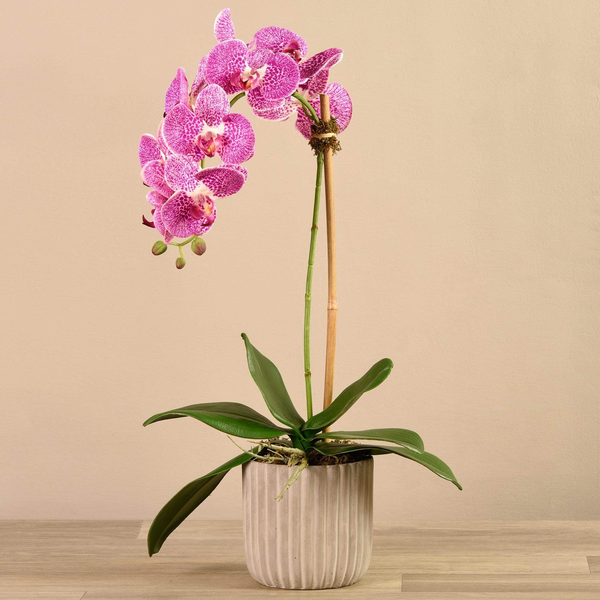 Artificial Orchid Arrangement - Image 9
