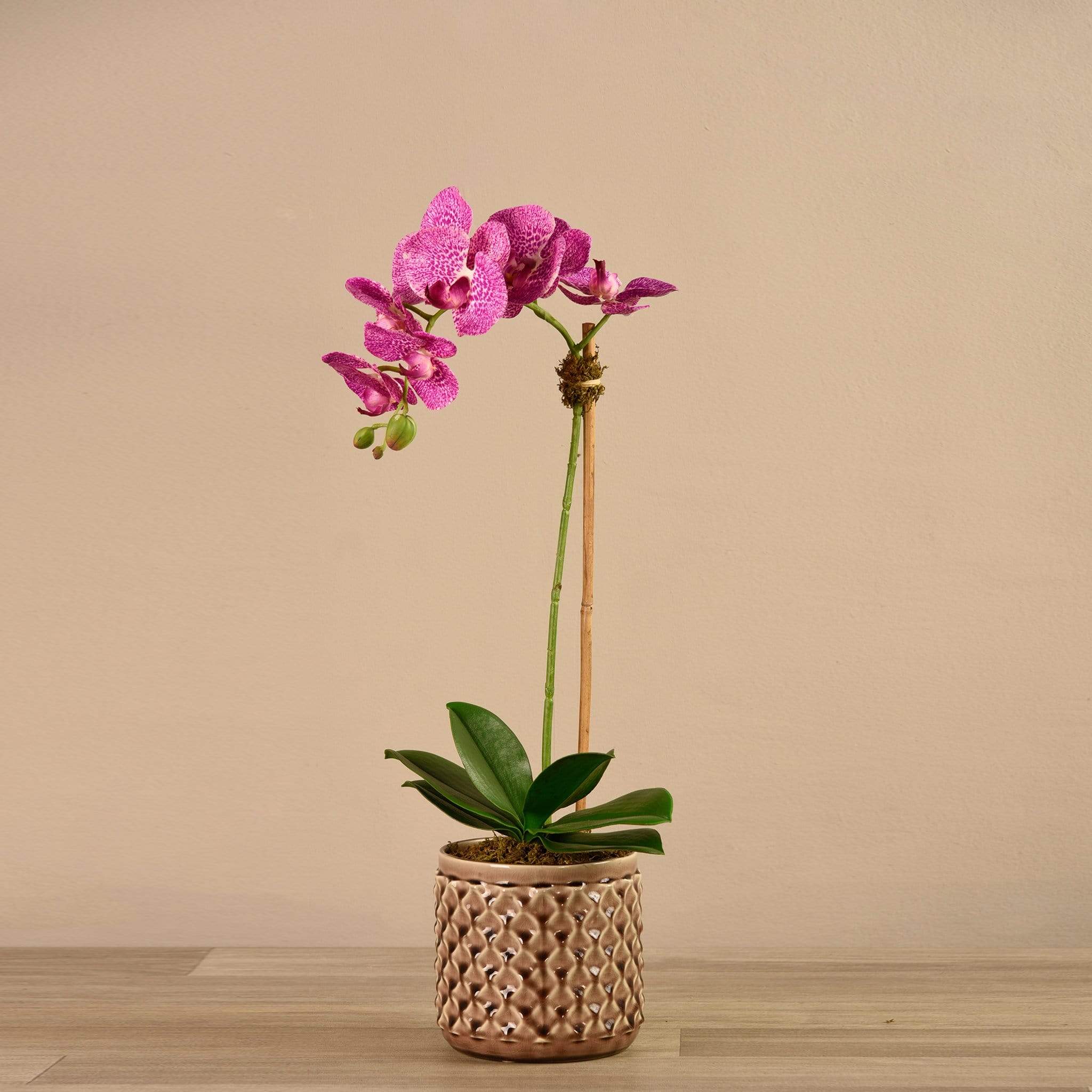 Artificial Orchid Arrangement - Image 10
