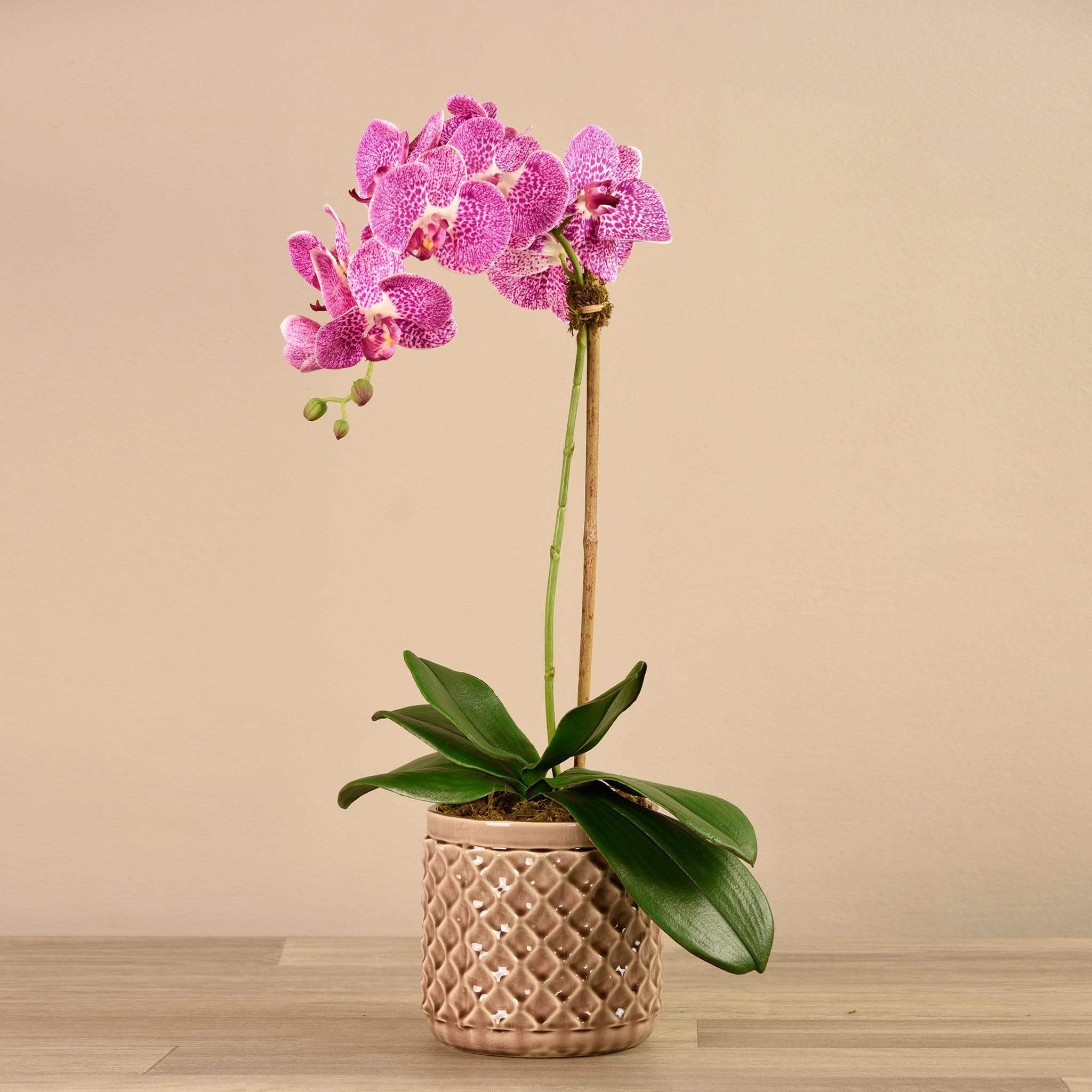 Artificial Orchid Arrangement - Image 11