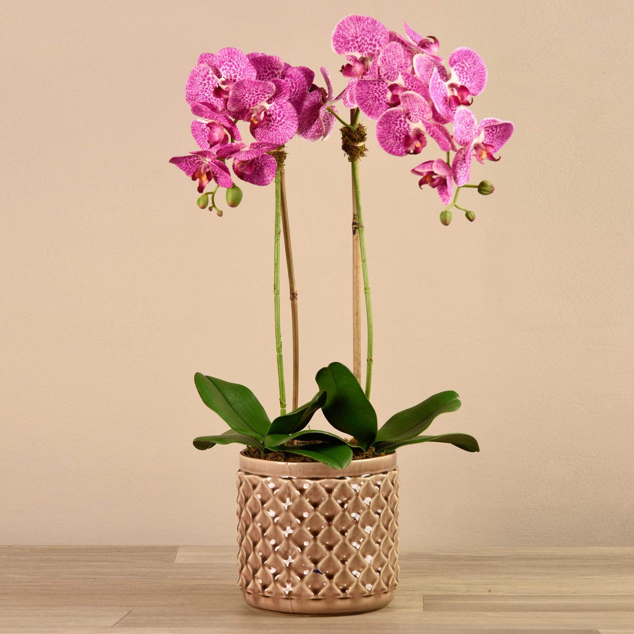 Artificial Orchid Arrangement - Image 12