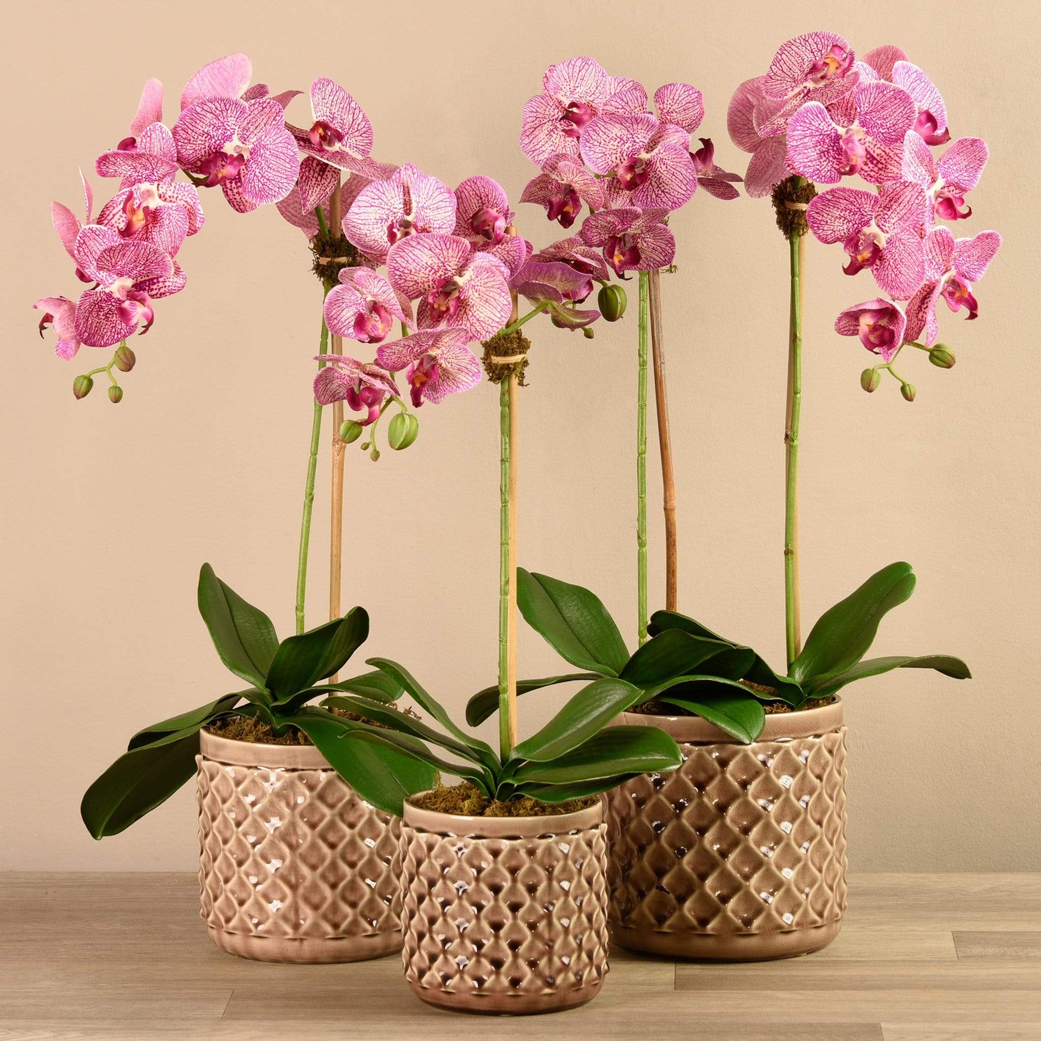 Artificial Orchid Arrangement - Image 13