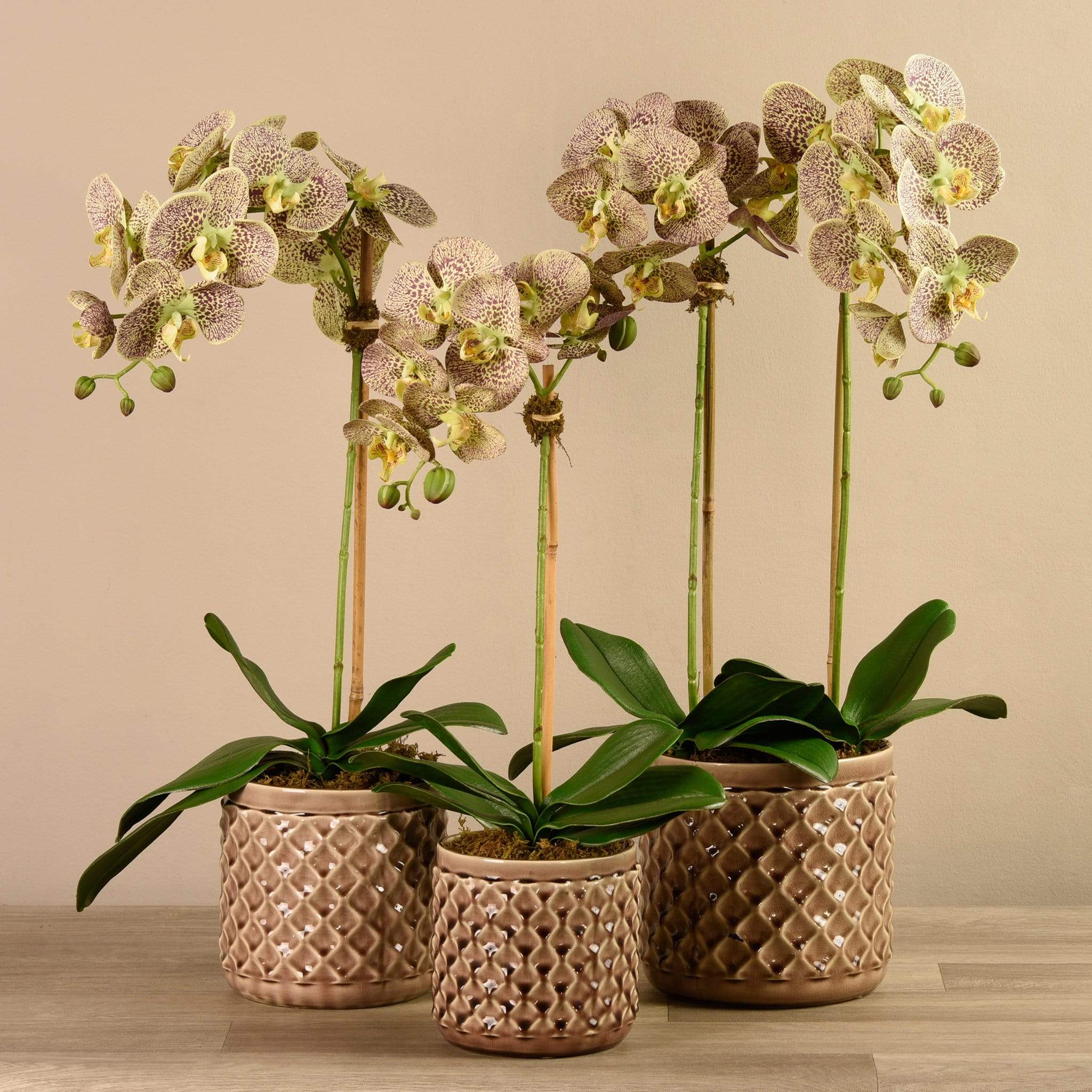 Artificial Orchid Arrangement - Image 17