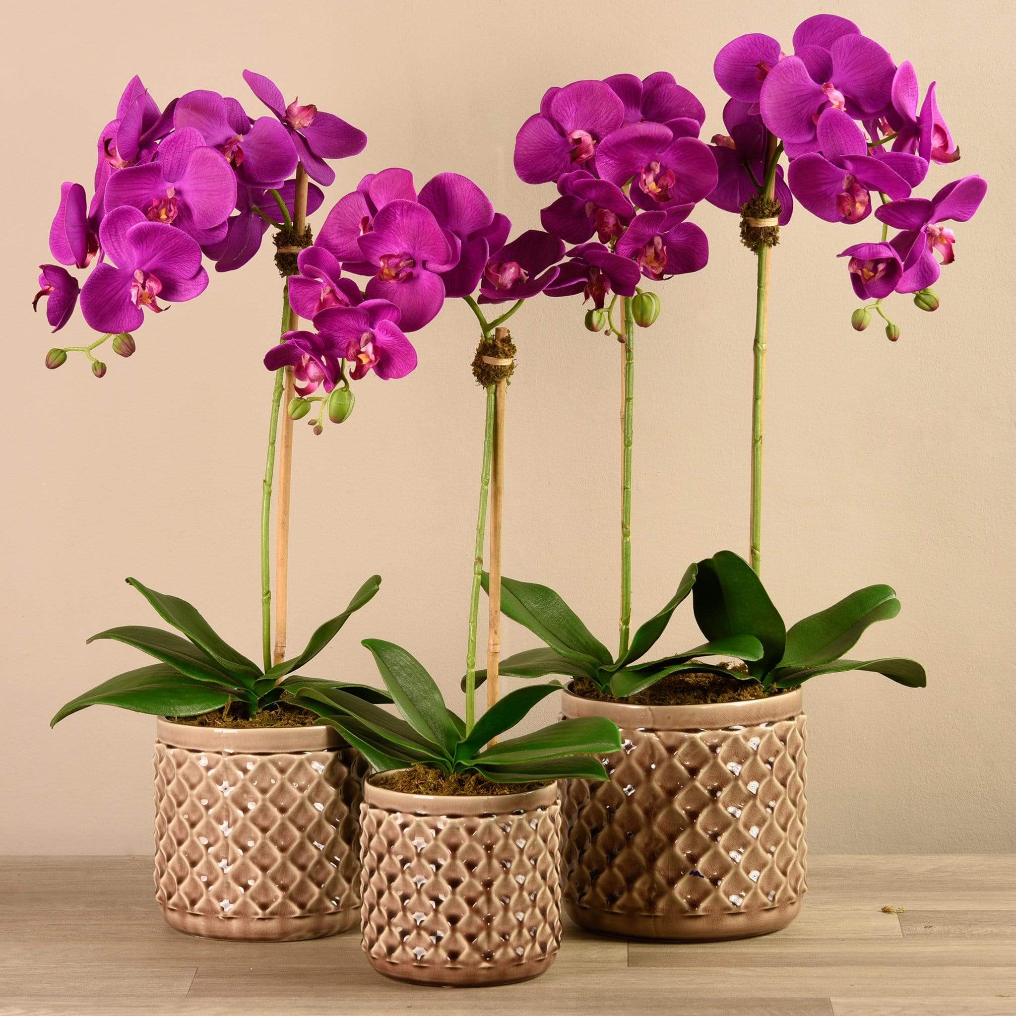 Artificial Orchid Arrangement - Image 5