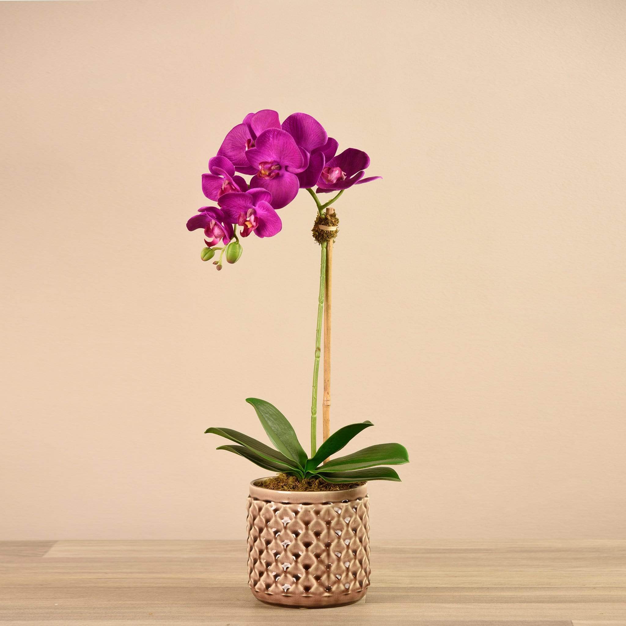 Artificial Orchid Arrangement - Image 6