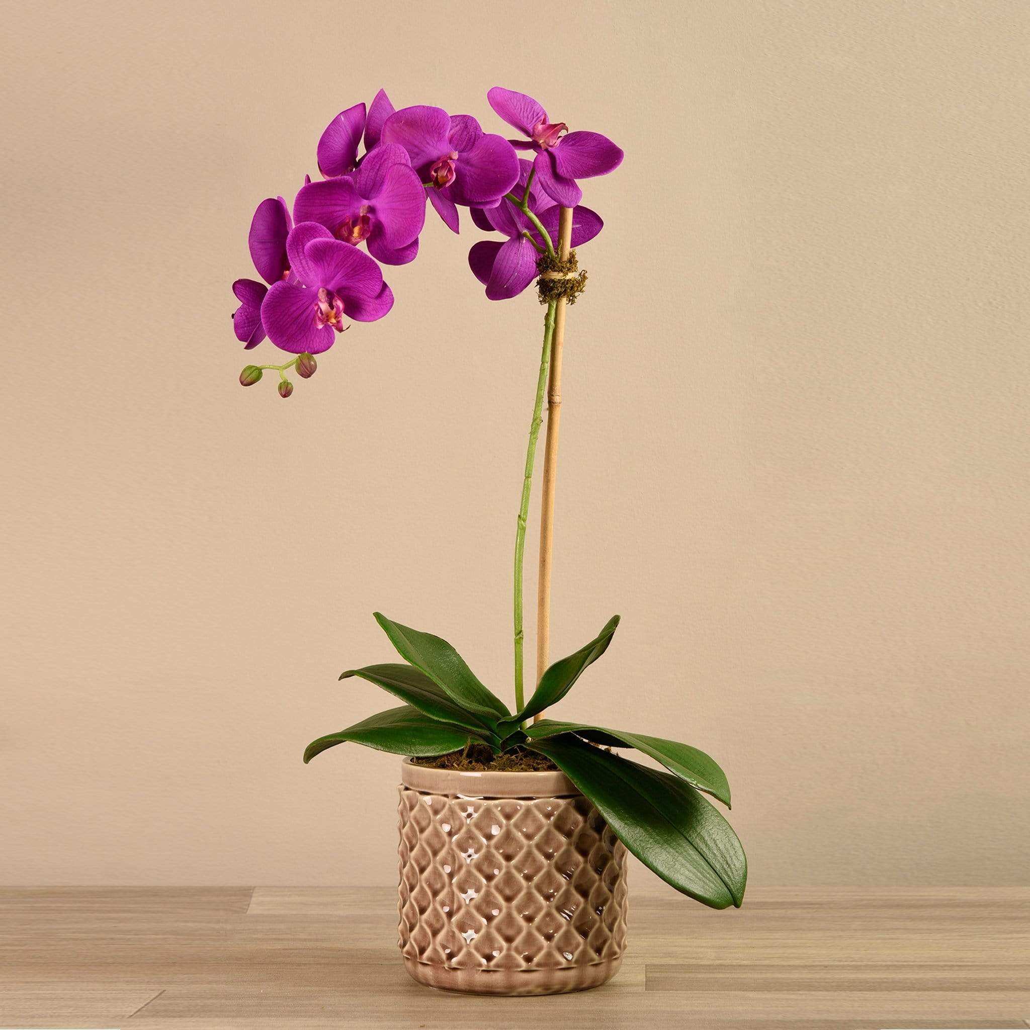 Artificial Orchid Arrangement - Image 7
