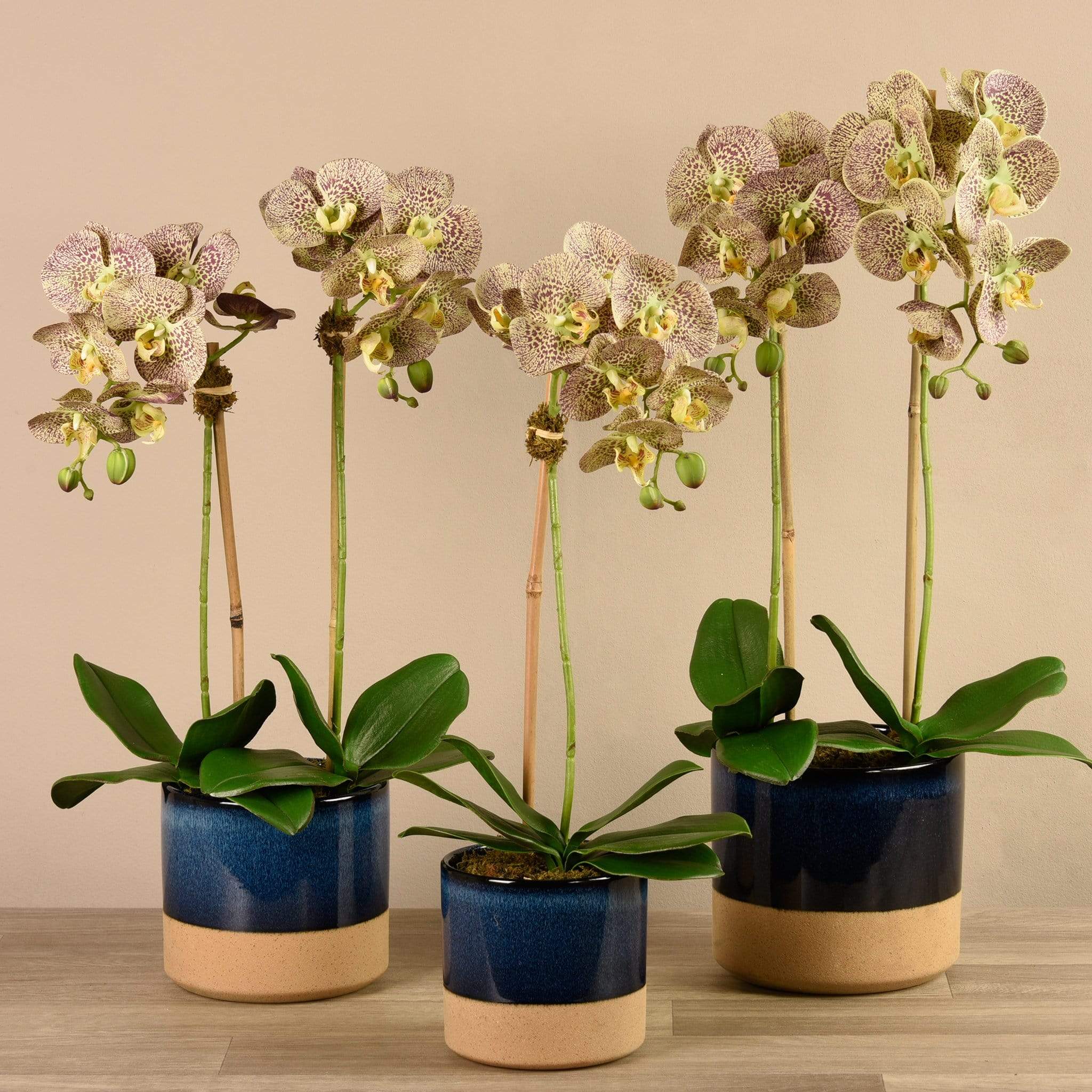Artificial Orchid Arrangement - Image 5