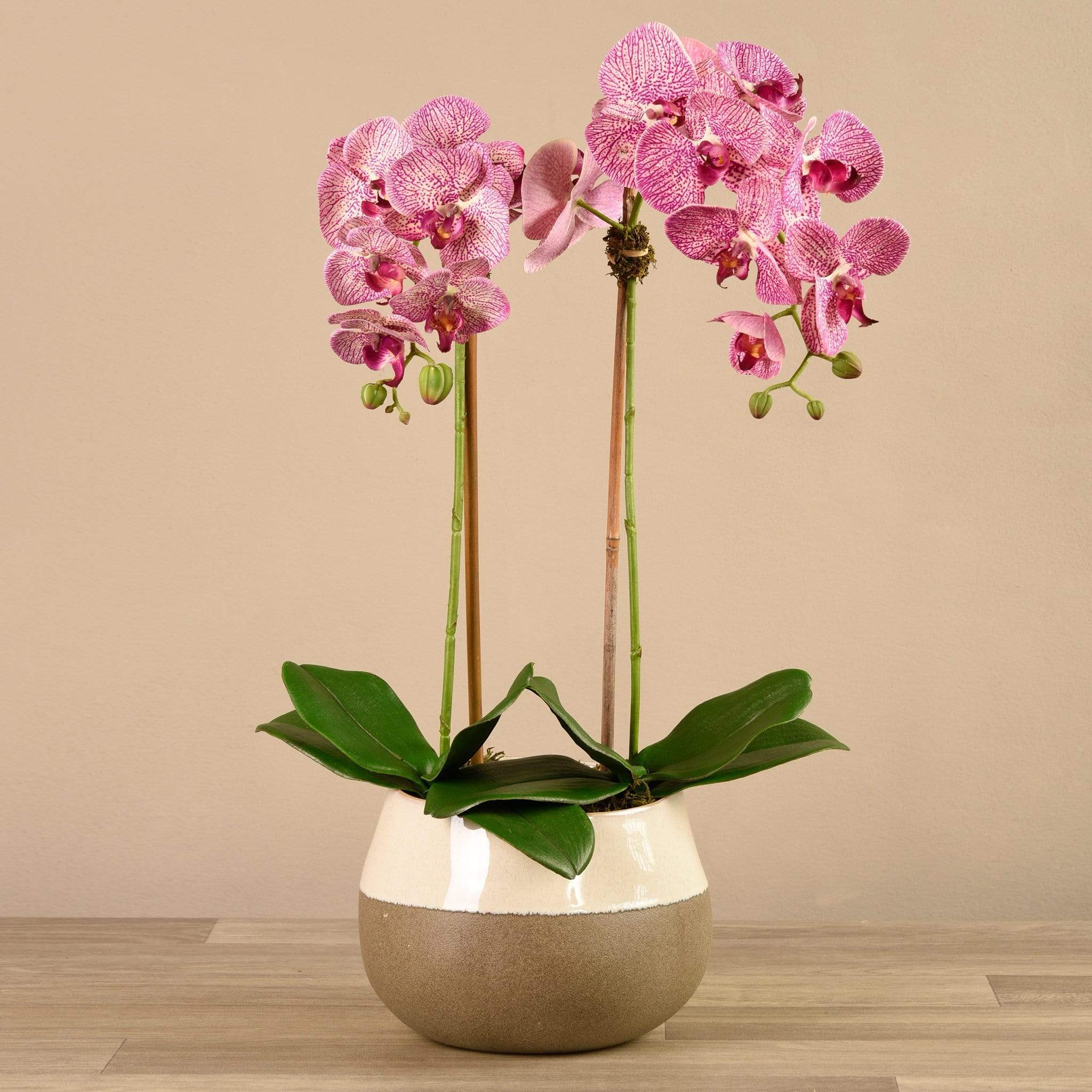 Artificial Orchid Arrangement - Image 16
