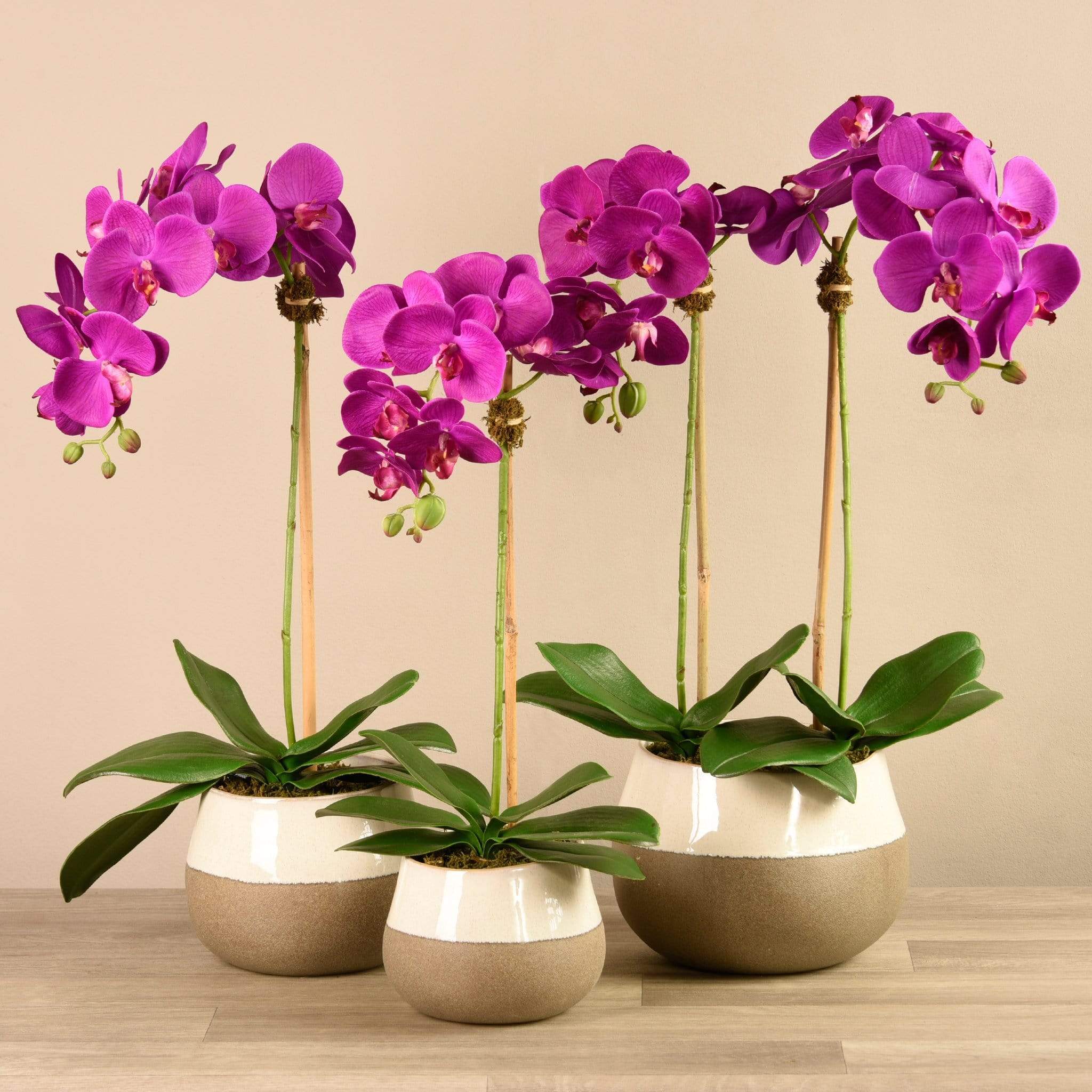 Artificial Orchid Arrangement - Image 5